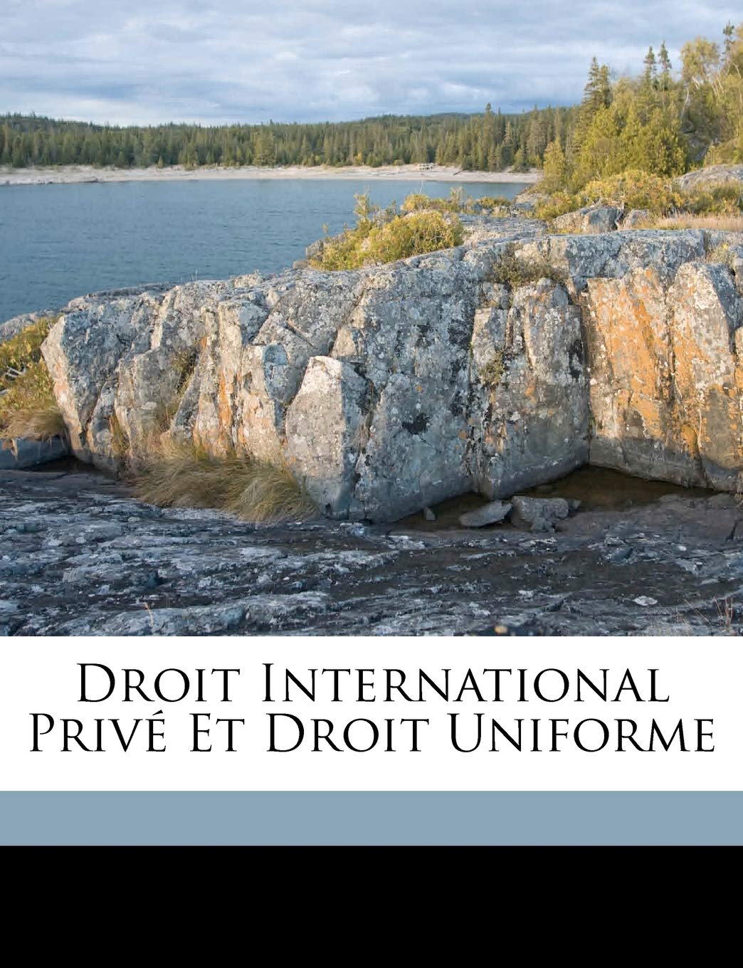 Droit International Privé Et Droit Uniforme Contemporary literature