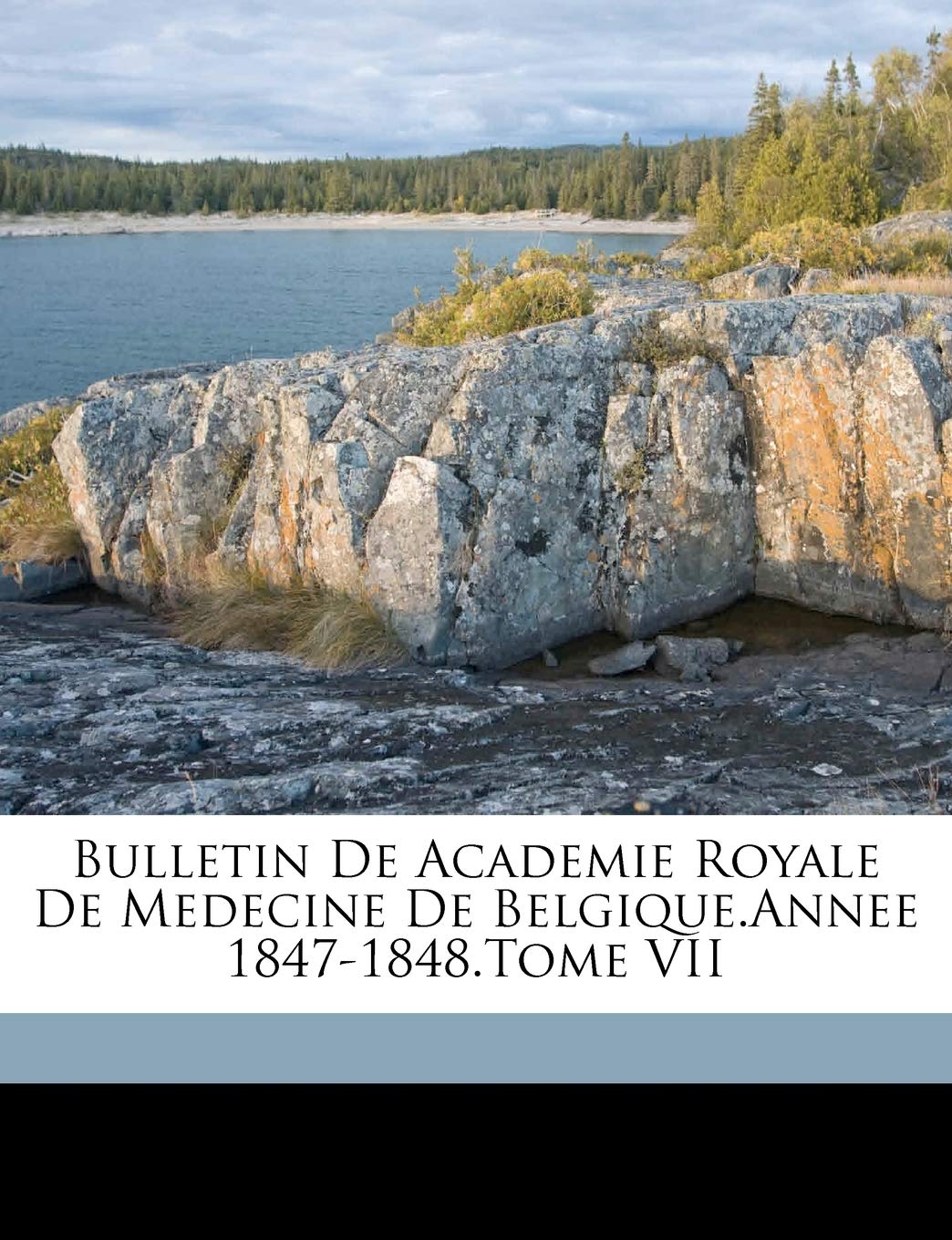 Bulletin de Academie Royale de Medecine de Belgique.Annee 1847-1848.Tome VII Politics & History