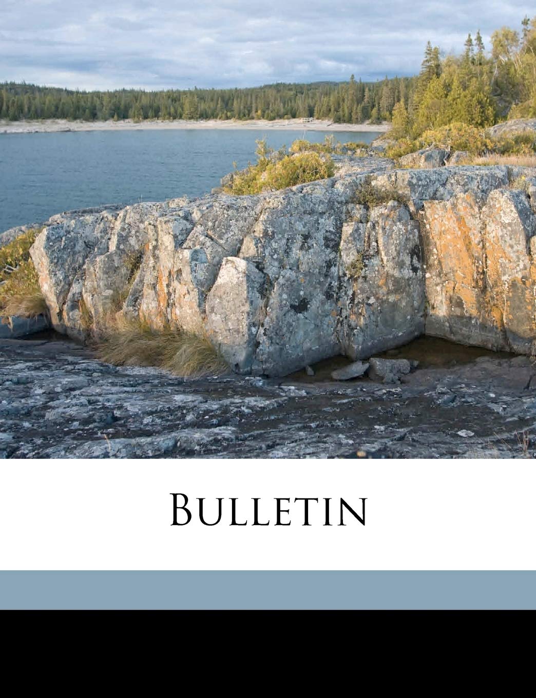 Bulletin Volume No. 19 Politics & History