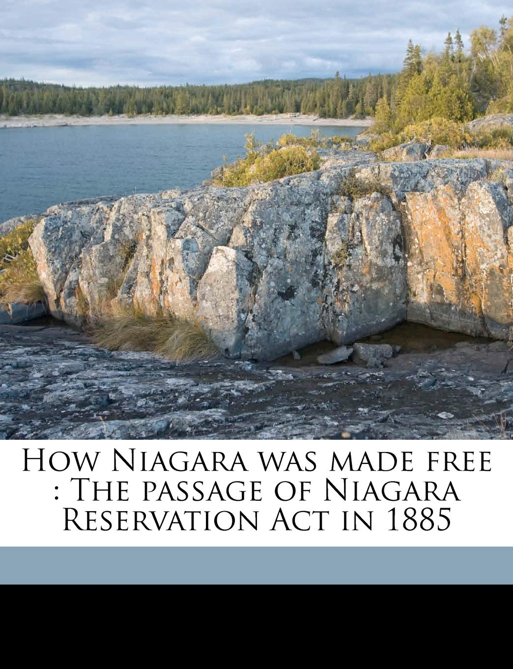 How Niagara Was Made Free: The Passage of Niagara Reservation ACT in 1885 Business, Finance & Career