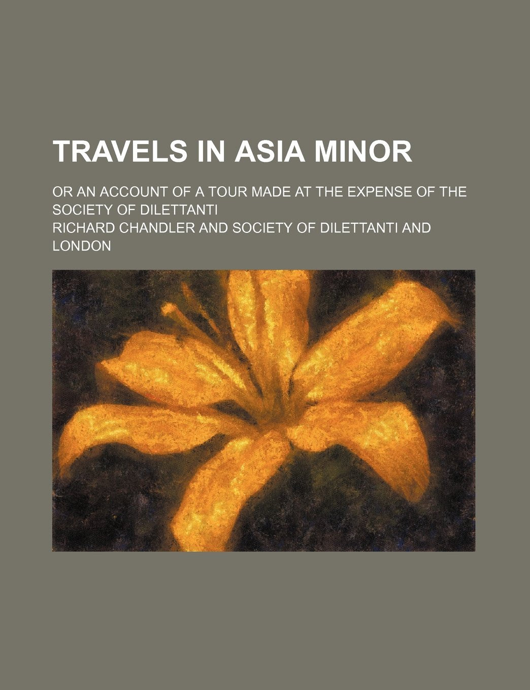 Travels in Asia Minor; Or an Account of a Tour Made at the Expense of the Society of Dilettanti Books