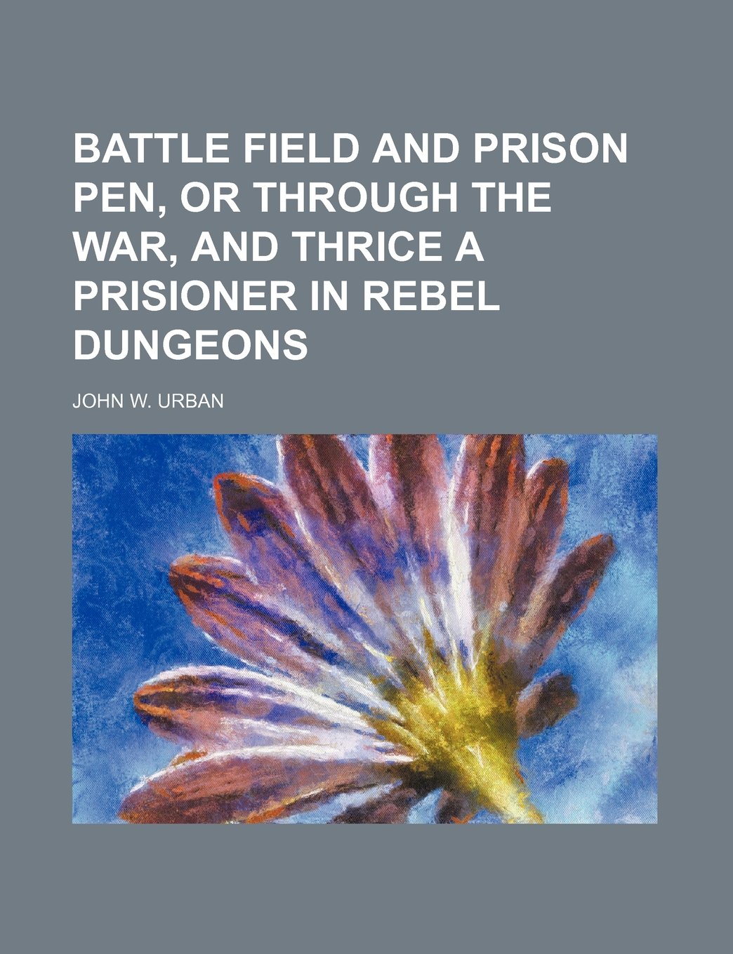 Battle Field and Prison Pen, or Through the War, and Thrice a Prisioner in Rebel Dungeons Books