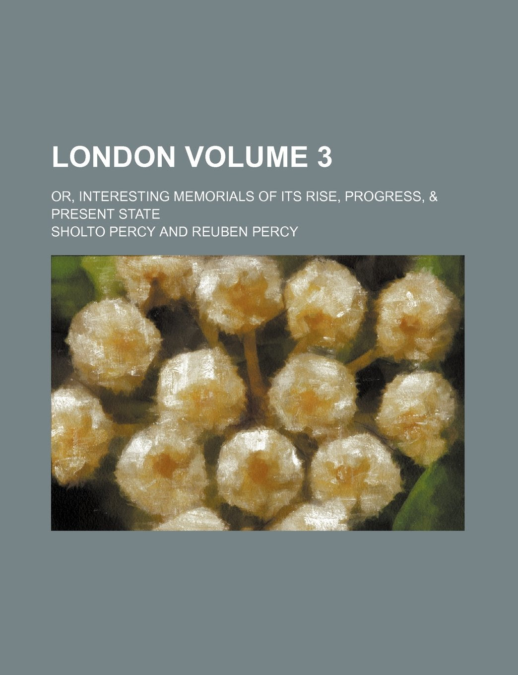 London; Or, Interesting Memorials of Its Rise, Progress, & Present State Volume 3 Books