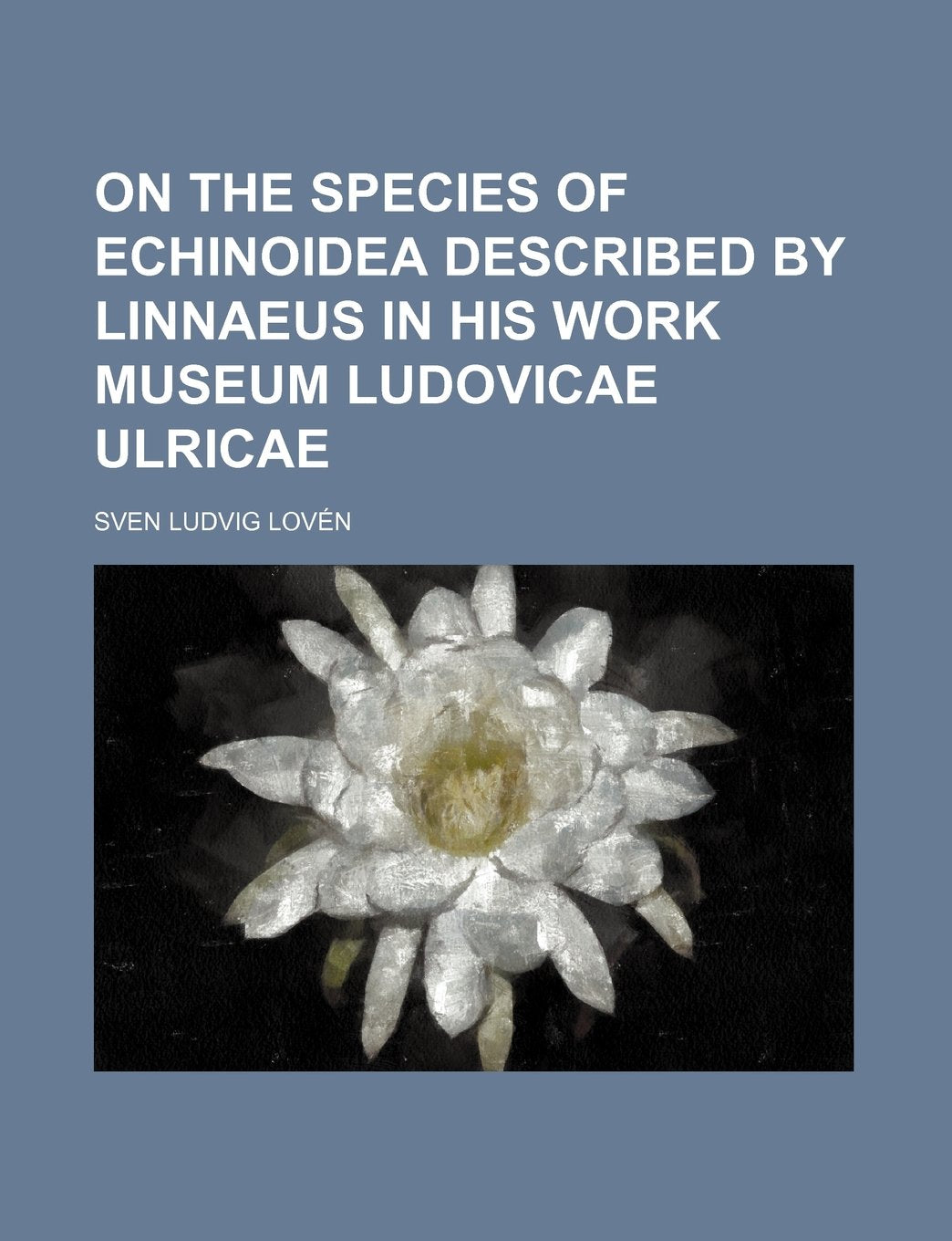 On the Species of Echinoidea Described by Linnaeus in His Work Museum Ludovicae Ulricae Books