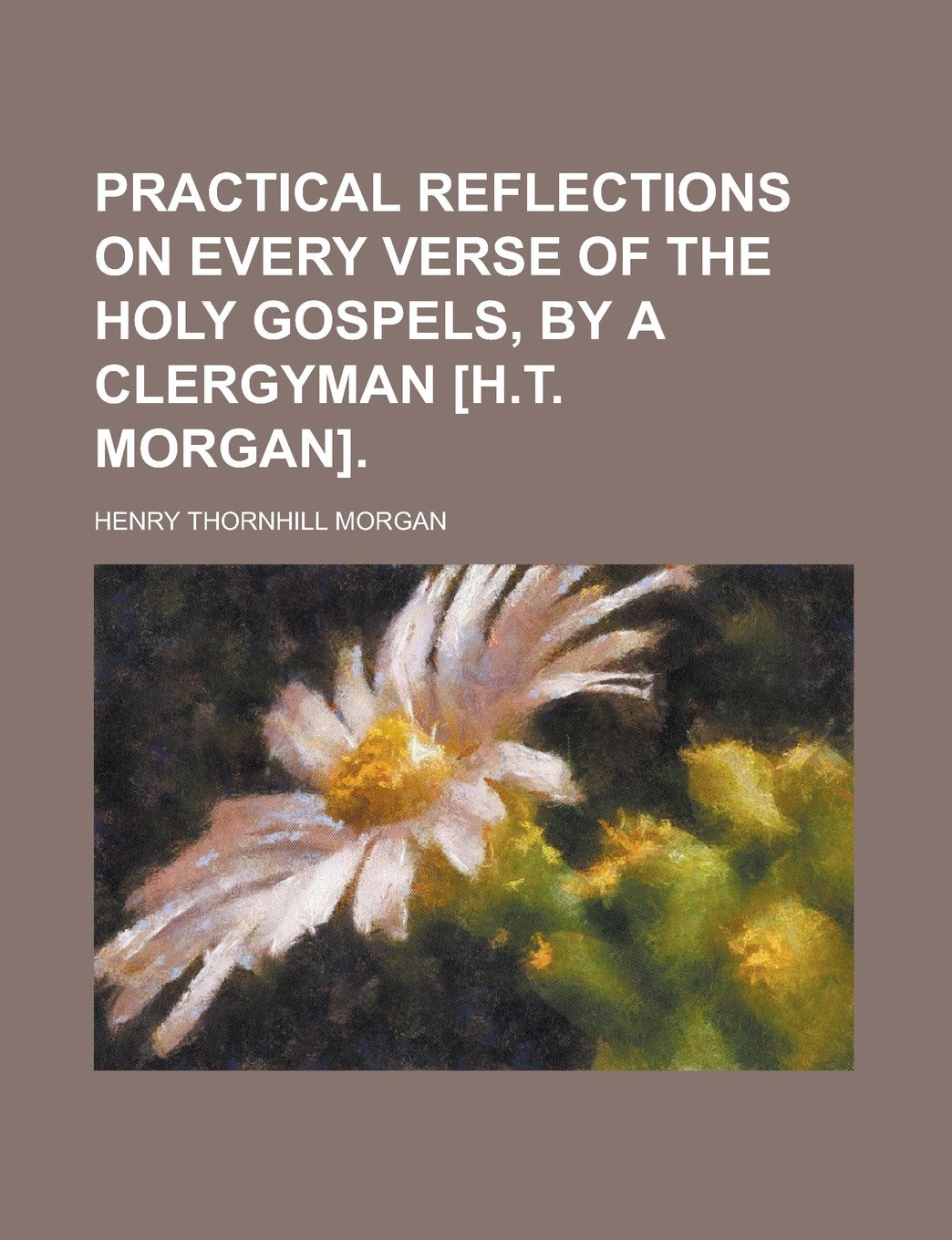 Practical Reflections on Every Verse of the Holy Gospels, by a Clergyman . Books