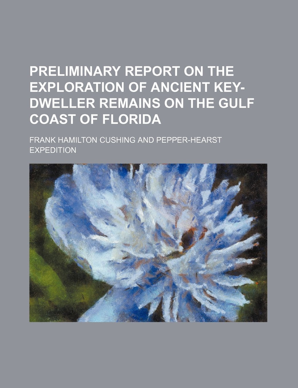 Preliminary Report on the Exploration of Ancient Key-Dweller Remains on the Gulf Coast of Florida Contemporary literature