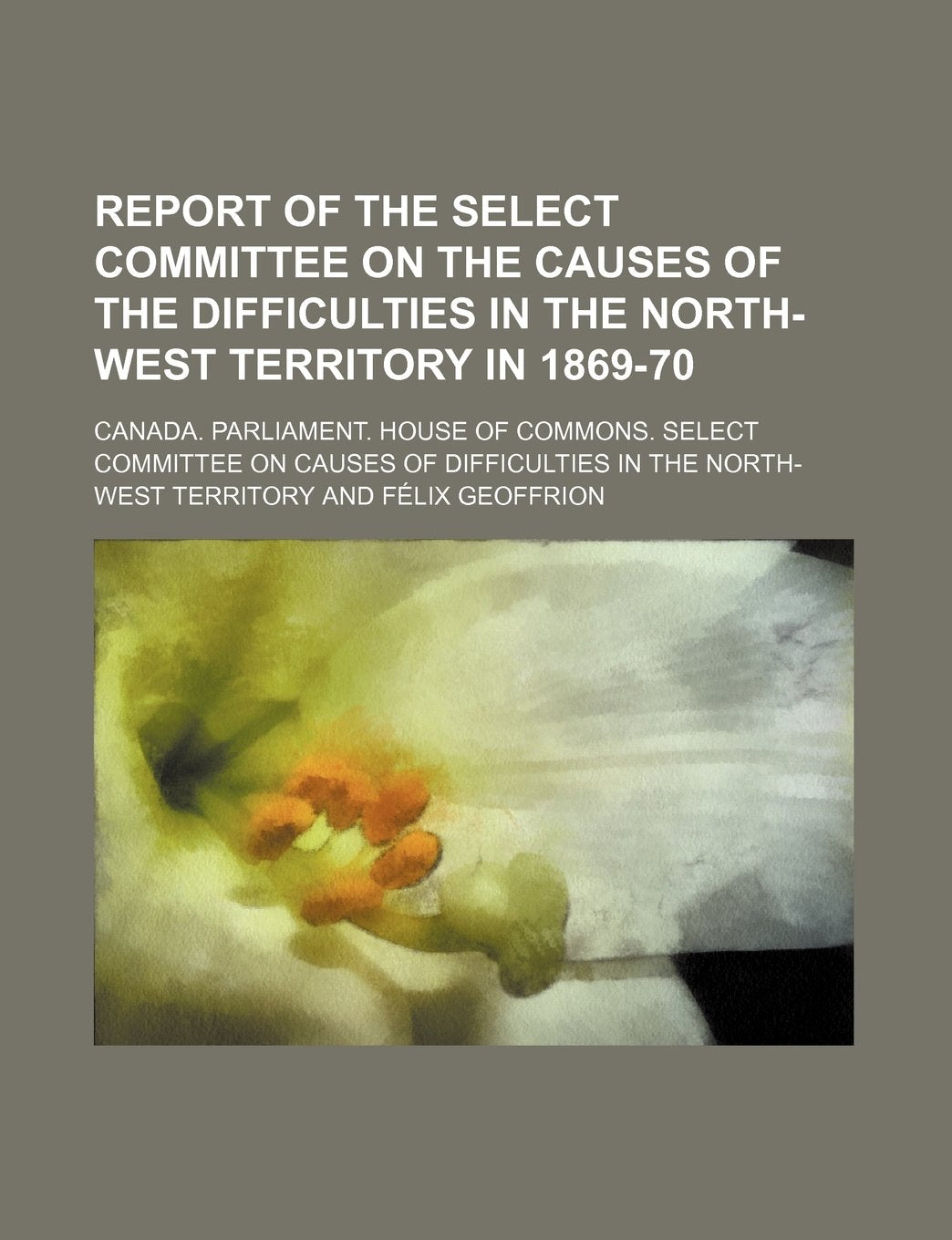 Report of the Select Committee on the Causes of the Difficulties in the North-West Territory in 1869-70 Books