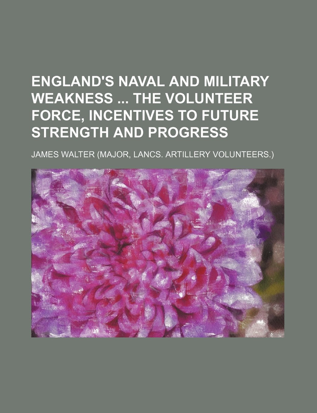 England's Naval and Military Weakness the Volunteer Force, Incentives to Future Strength and Progress Books