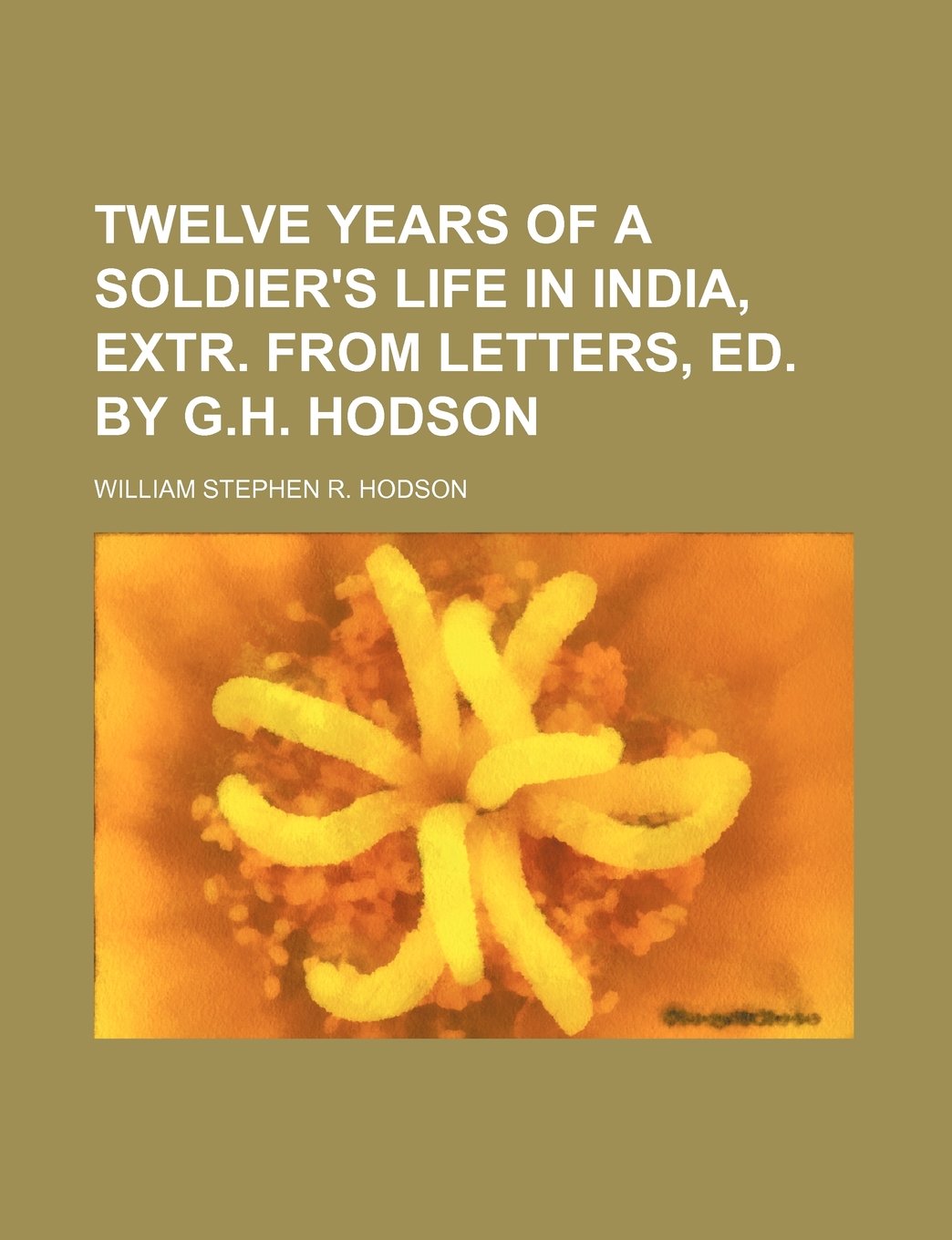 Twelve Years of a Soldier's Life in India, Extr. from Letters, Ed. by G.H. Hodson book