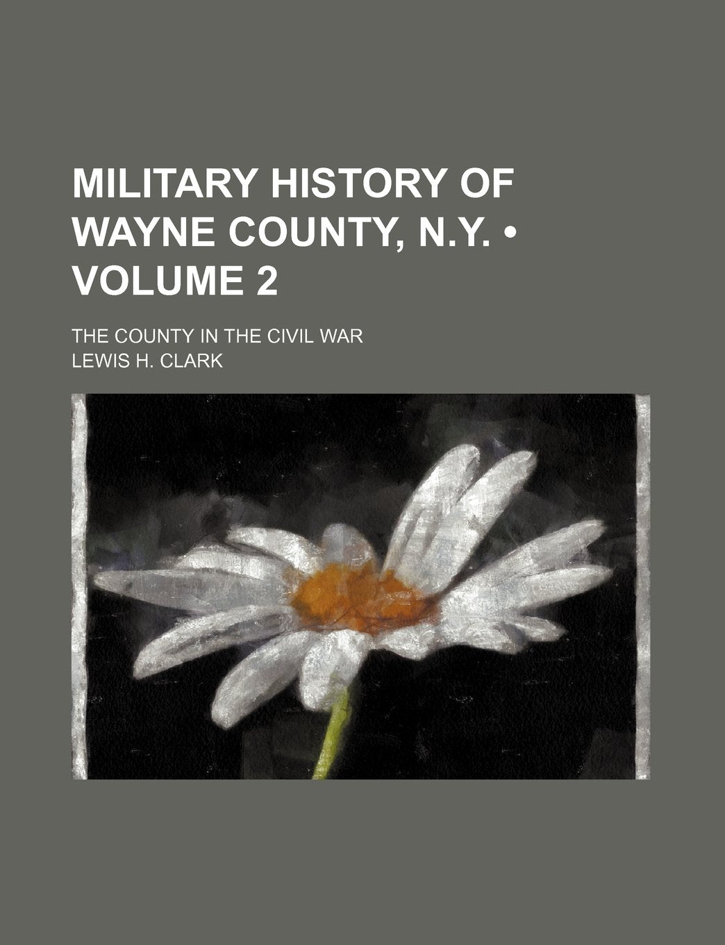 Military History of Wayne County, N.Y. (Volume 2); The County in the Civil War Books