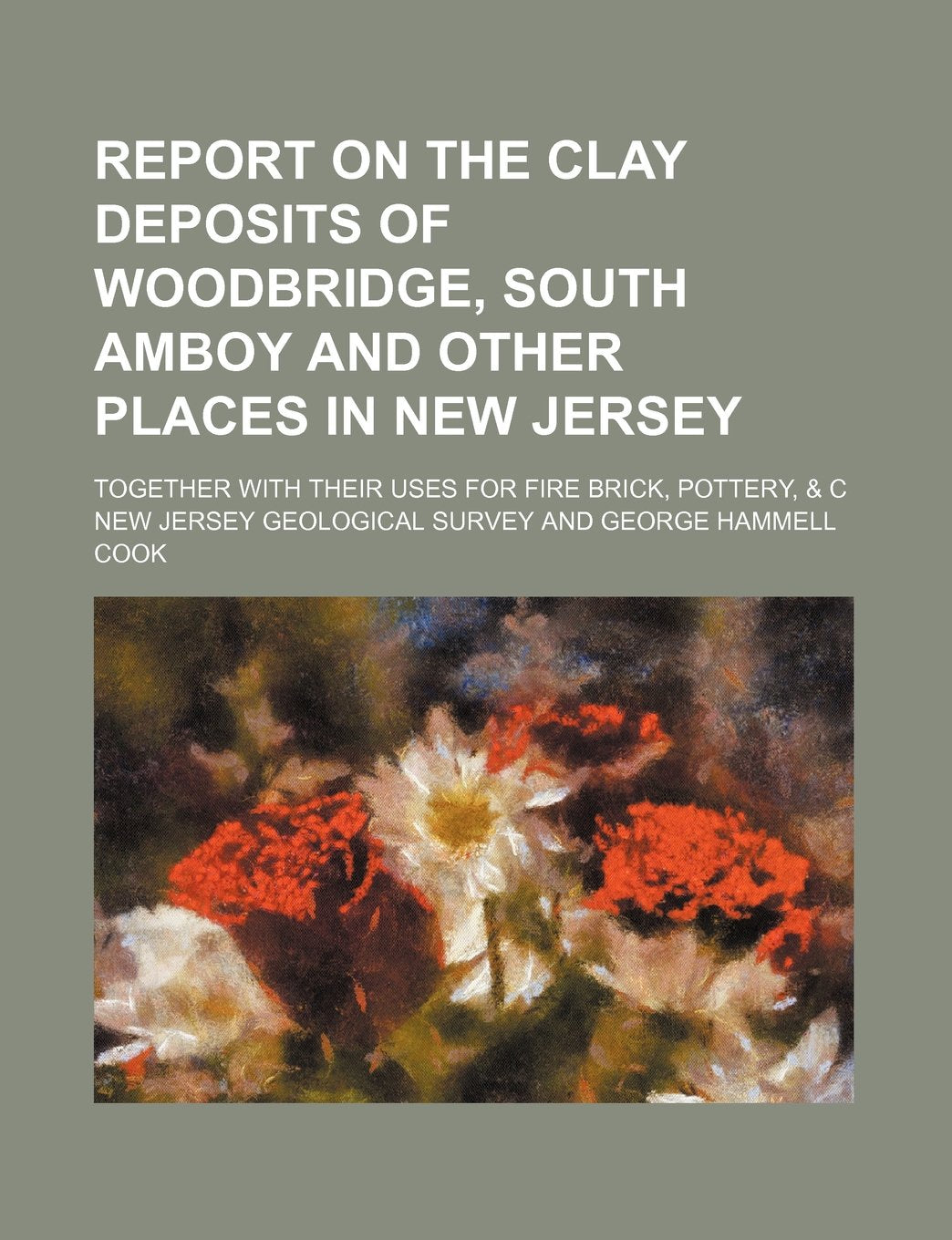 Report on the Clay Deposits of Woodbridge, South Amboy and Other Places in New Jersey; Together with Their Uses for Fire Brick, Pottery, & C Books