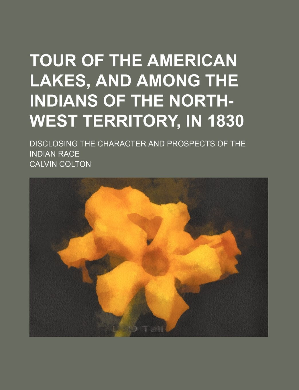 Tour of the American Lakes, and Among the Indians of the North-West Territory, in 1830 (Volume 2); Disclosing the Character and Prospects of the Indian Race Politics & History