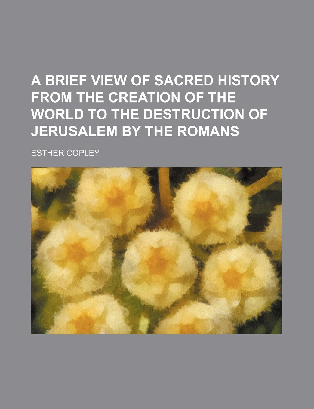 A Brief View of Sacred History from the Creation of the World to the Destruction of Jerusalem by the Romans Books