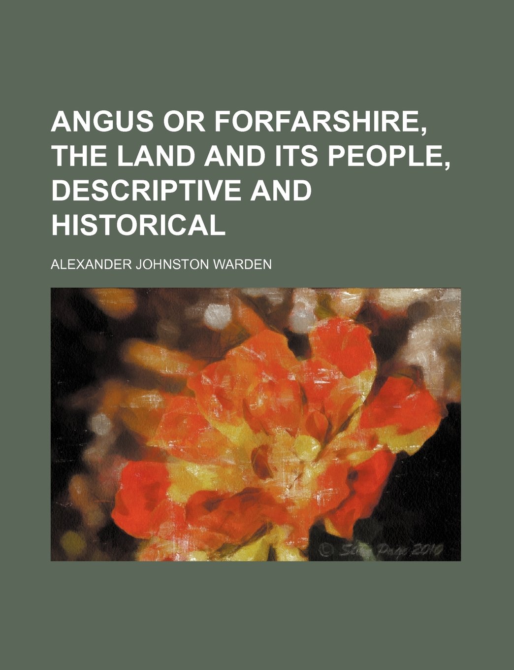 Angus or Forfarshire, the Land and Its People, Descriptive and Historical Books