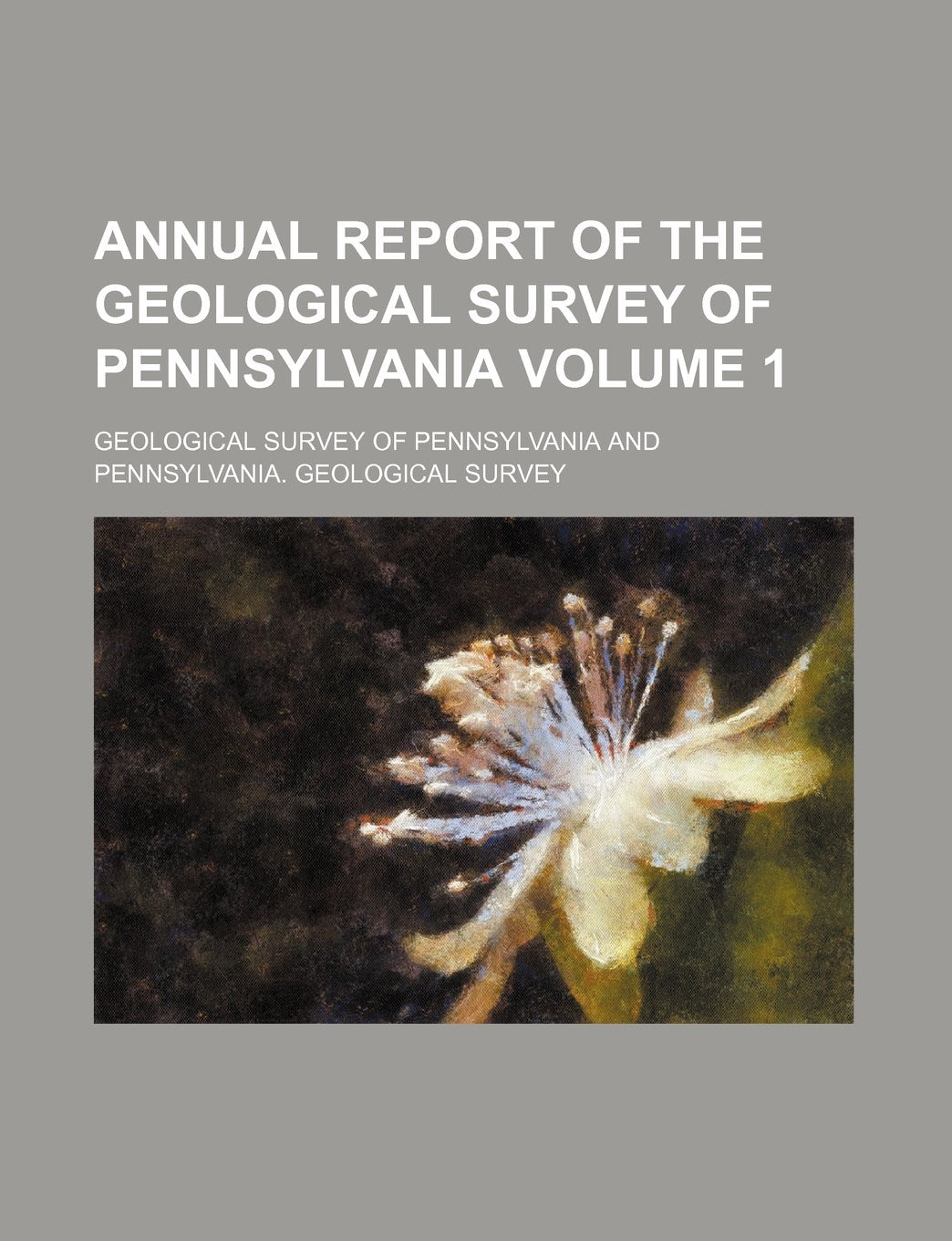 Annual Report of the Geological Survey of Pennsylvania Volume 1 Books