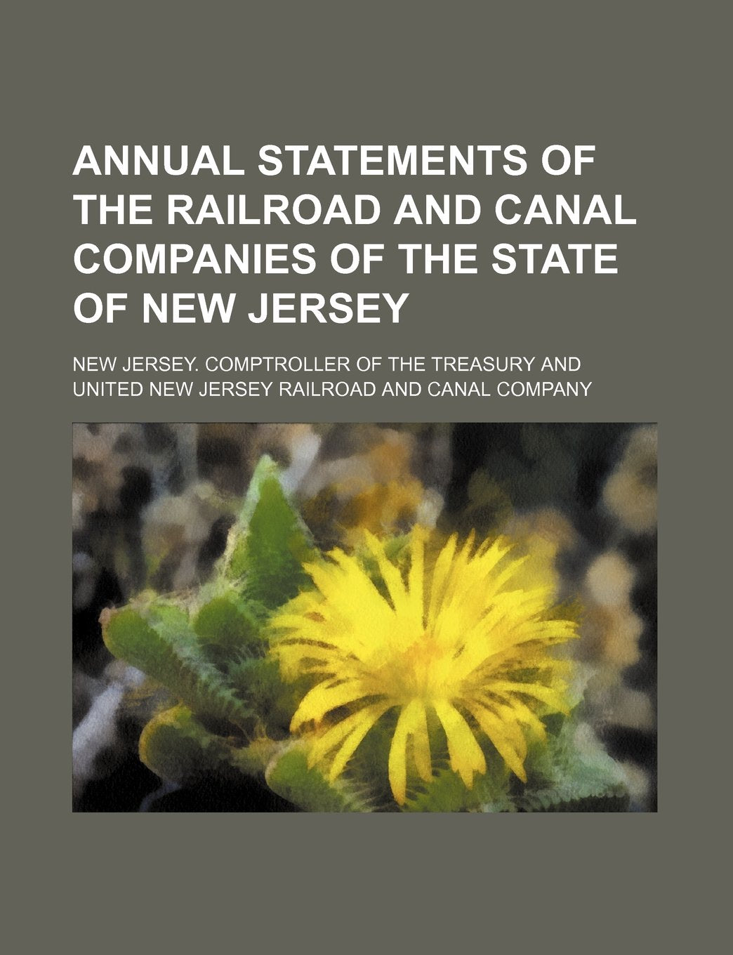 Annual Statements of the Railroad and Canal Companies of the State of New Jersey Books