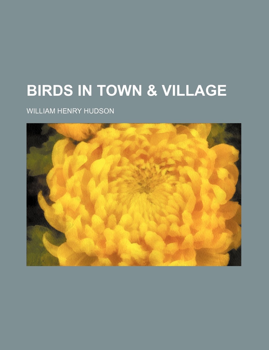 Birds in Town & Village Books