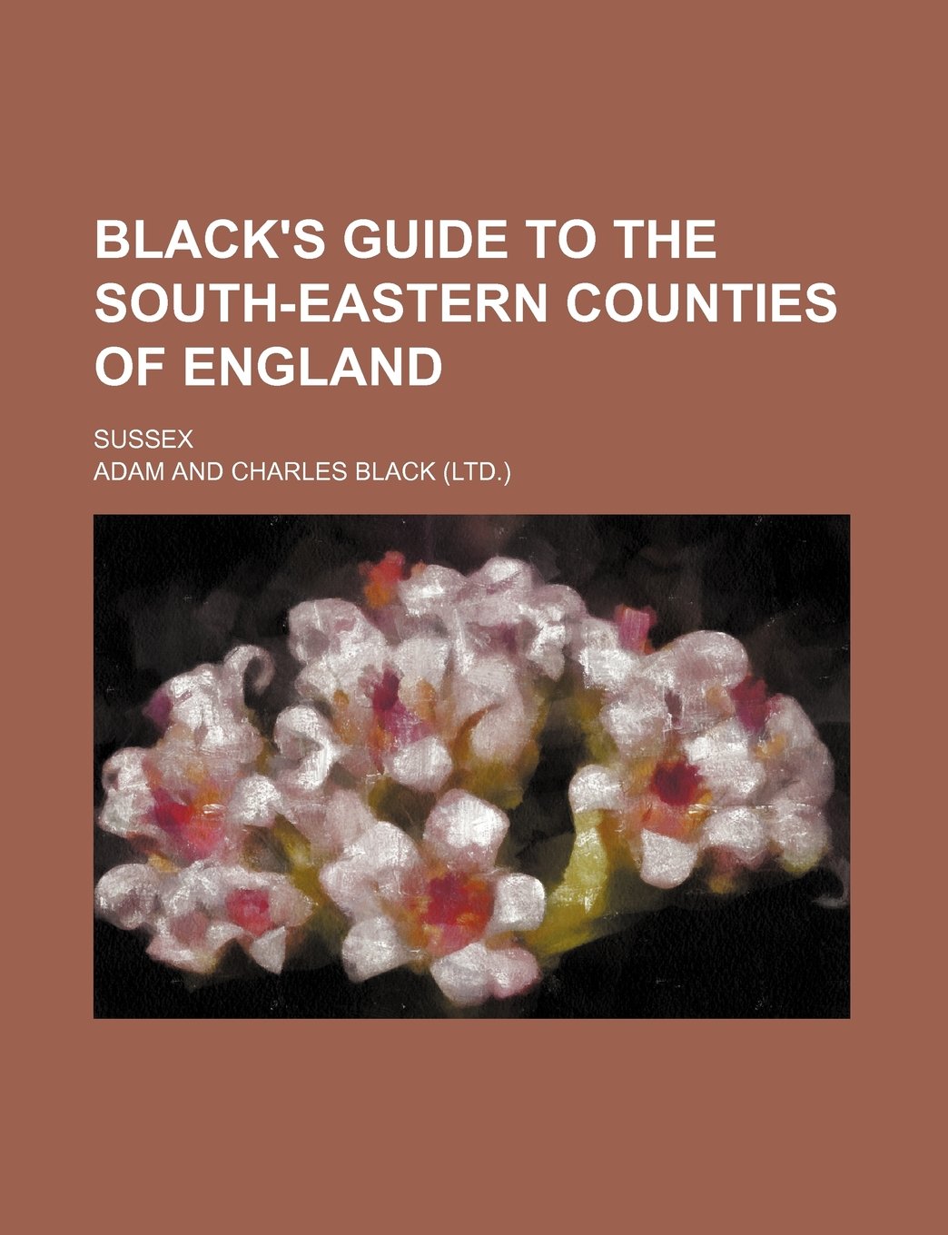 Black's Guide to the South-Eastern Counties of England; Sussex Books
