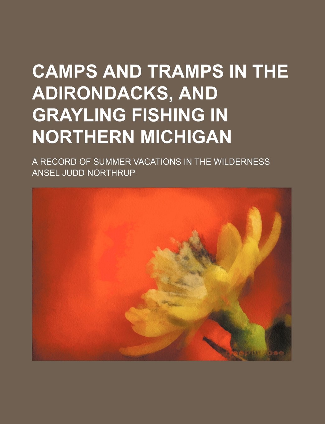 Camps and Tramps in the Adirondacks, and Grayling Fishing in Northern Michigan; A Record of Summer Vacations in the Wilderness Books