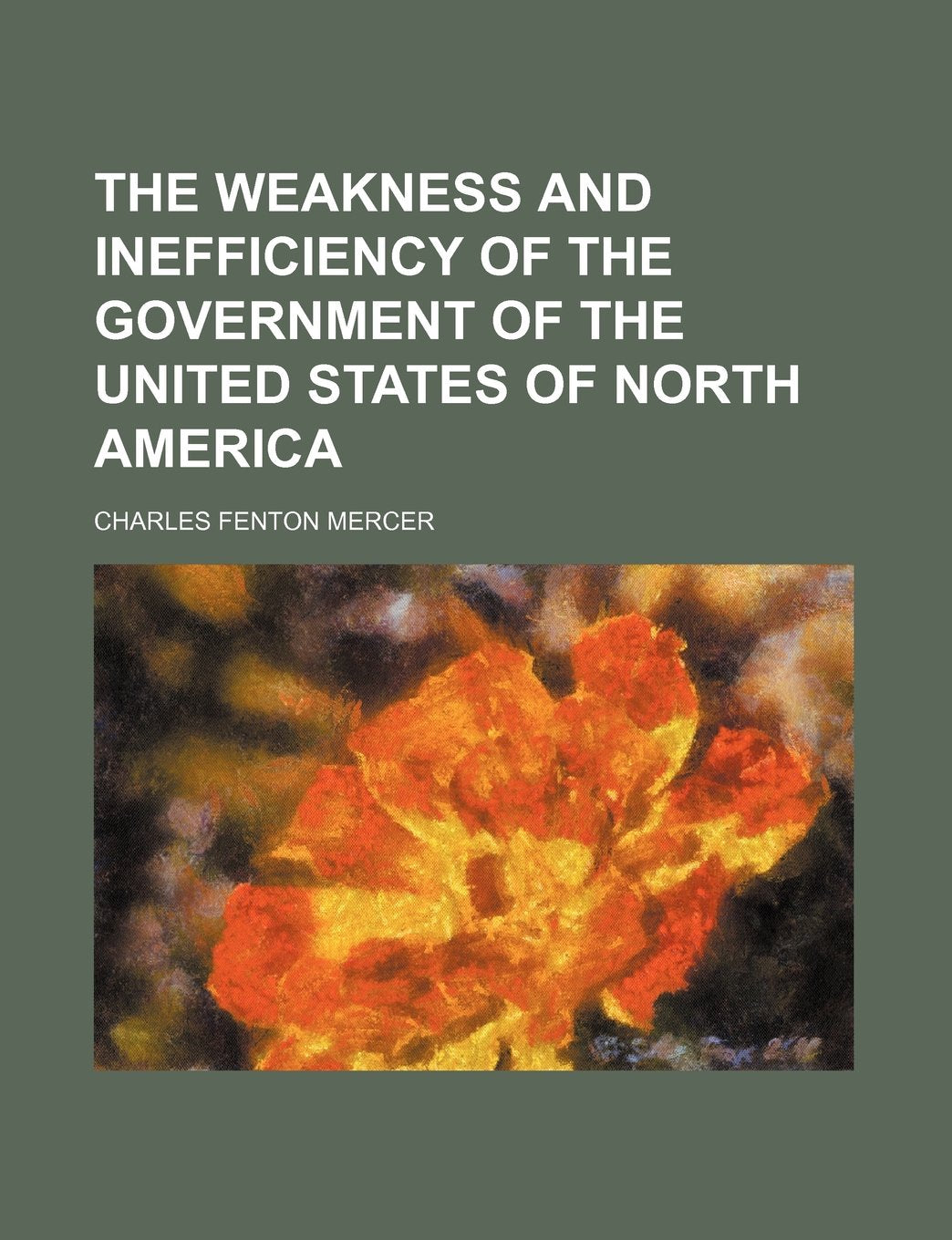 The Weakness and Inefficiency of the Government of the United States of North America book