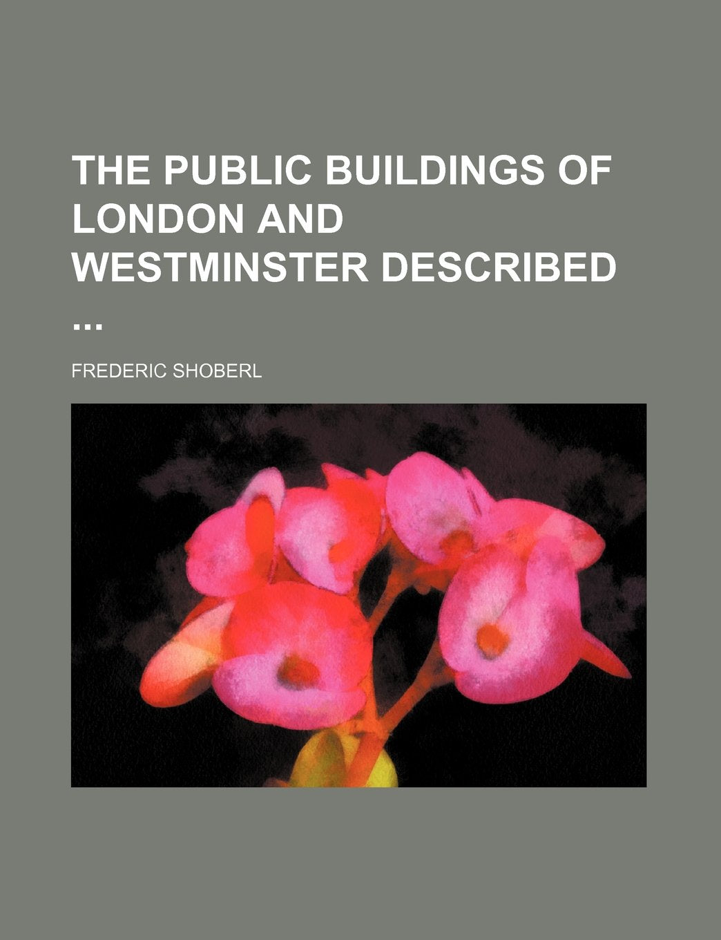 The Public Buildings of London and Westminster Described Books