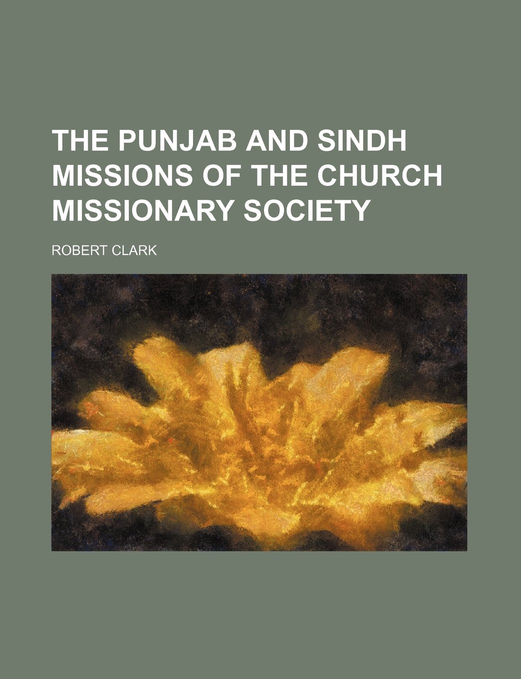 The Punjab and Sindh Missions of the Church Missionary Society Books