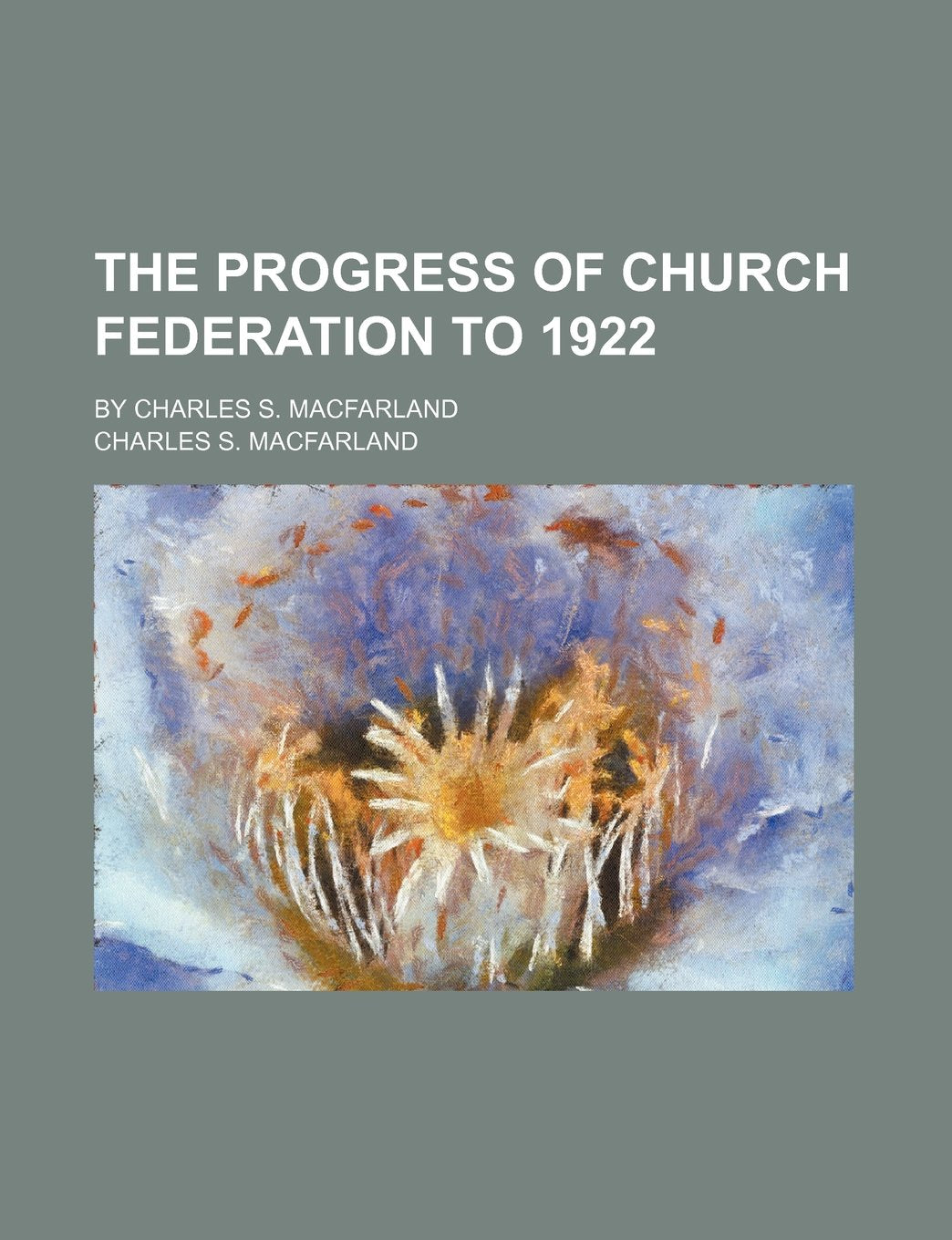 The Progress of Church Federation to 1922; By Charles S. Macfarland Books