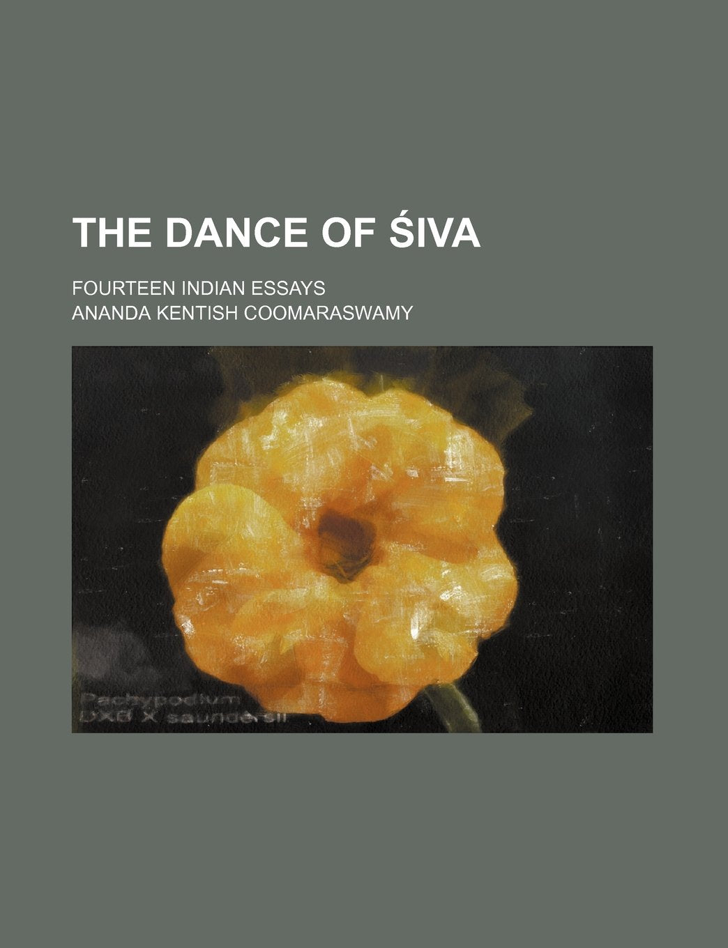 The Dance of Iva; Fourteen Indian Essays Books