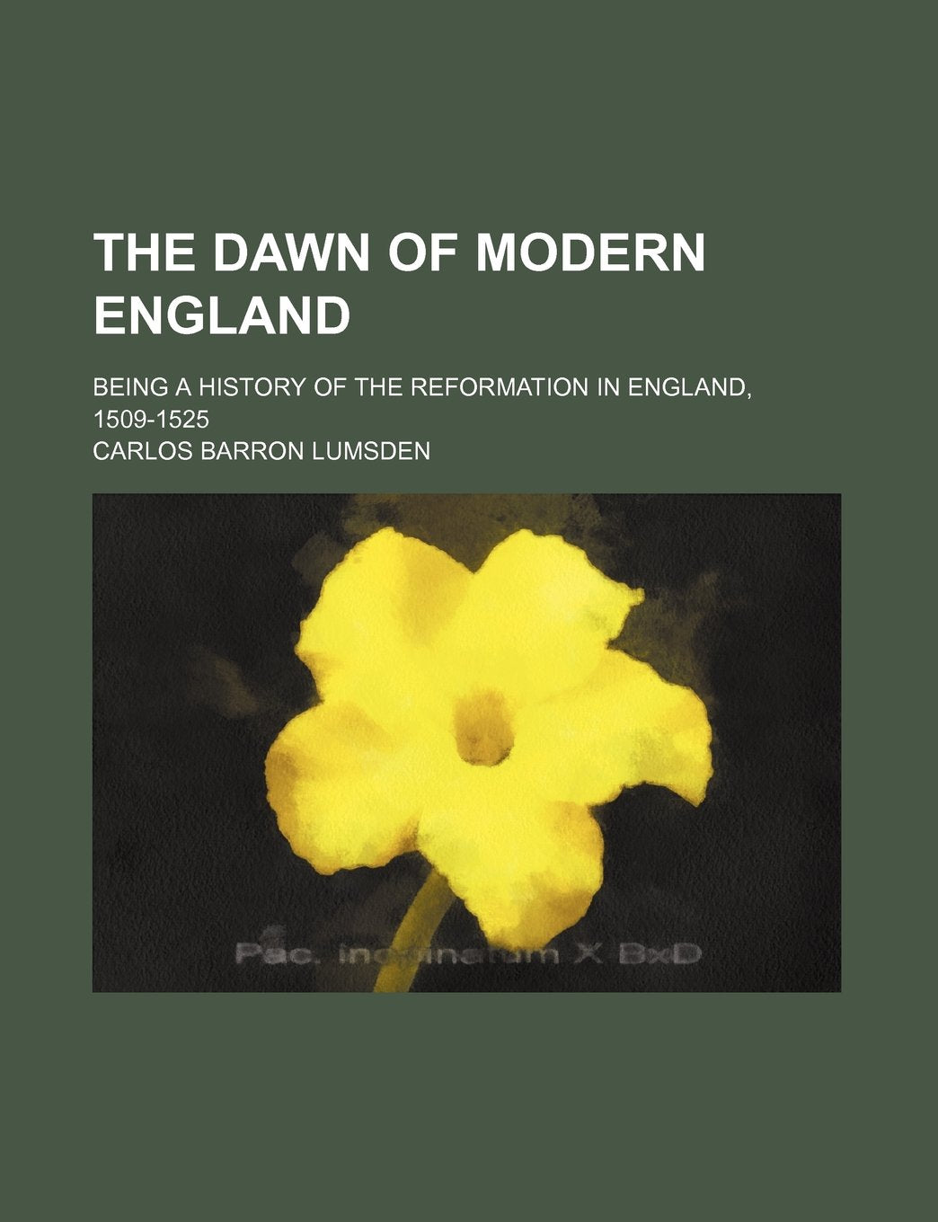 The Dawn of Modern England; Being a History of the Reformation in England, 1509-1525 Politics & History