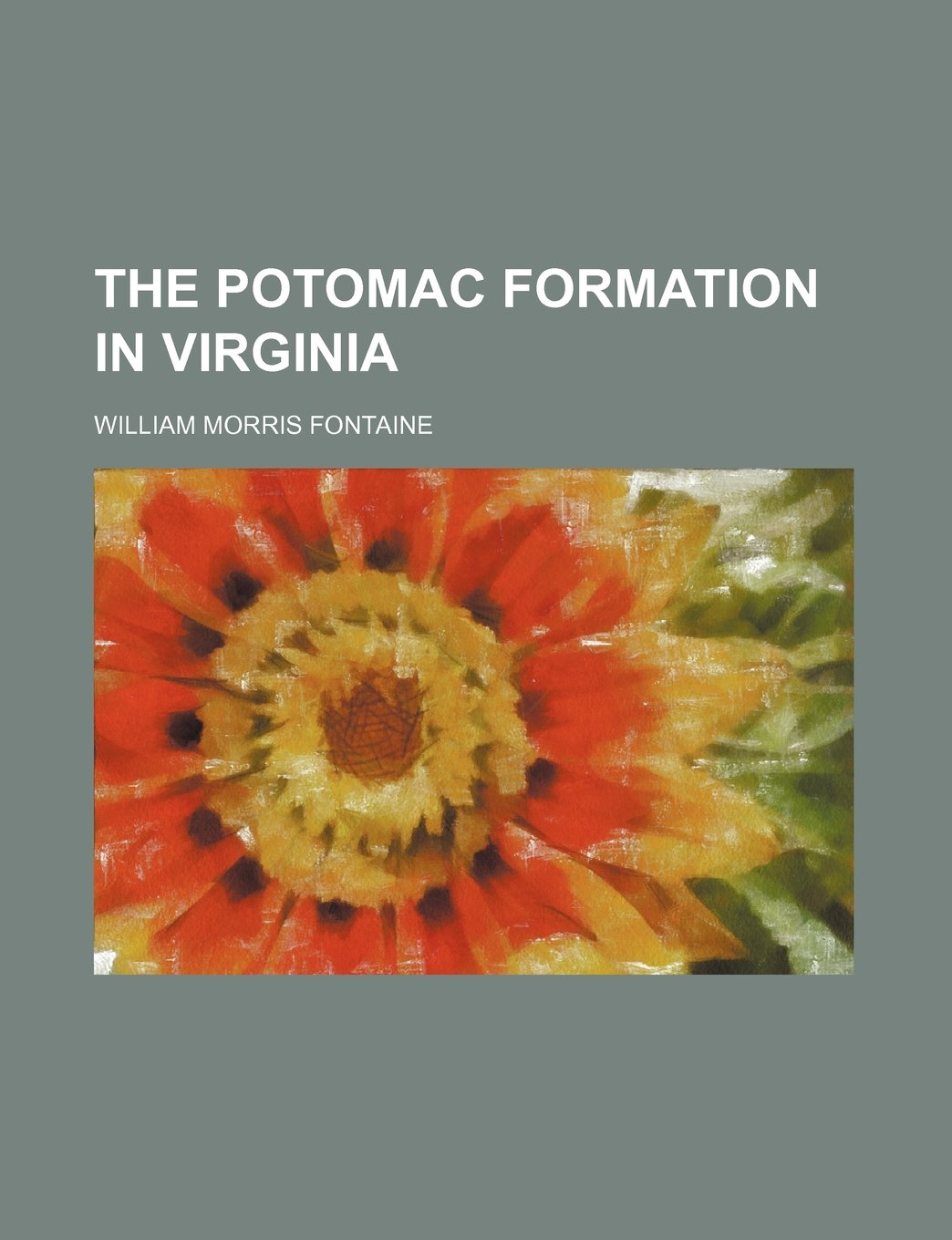 The Potomac Formation in Virginia (Volume 145) Books