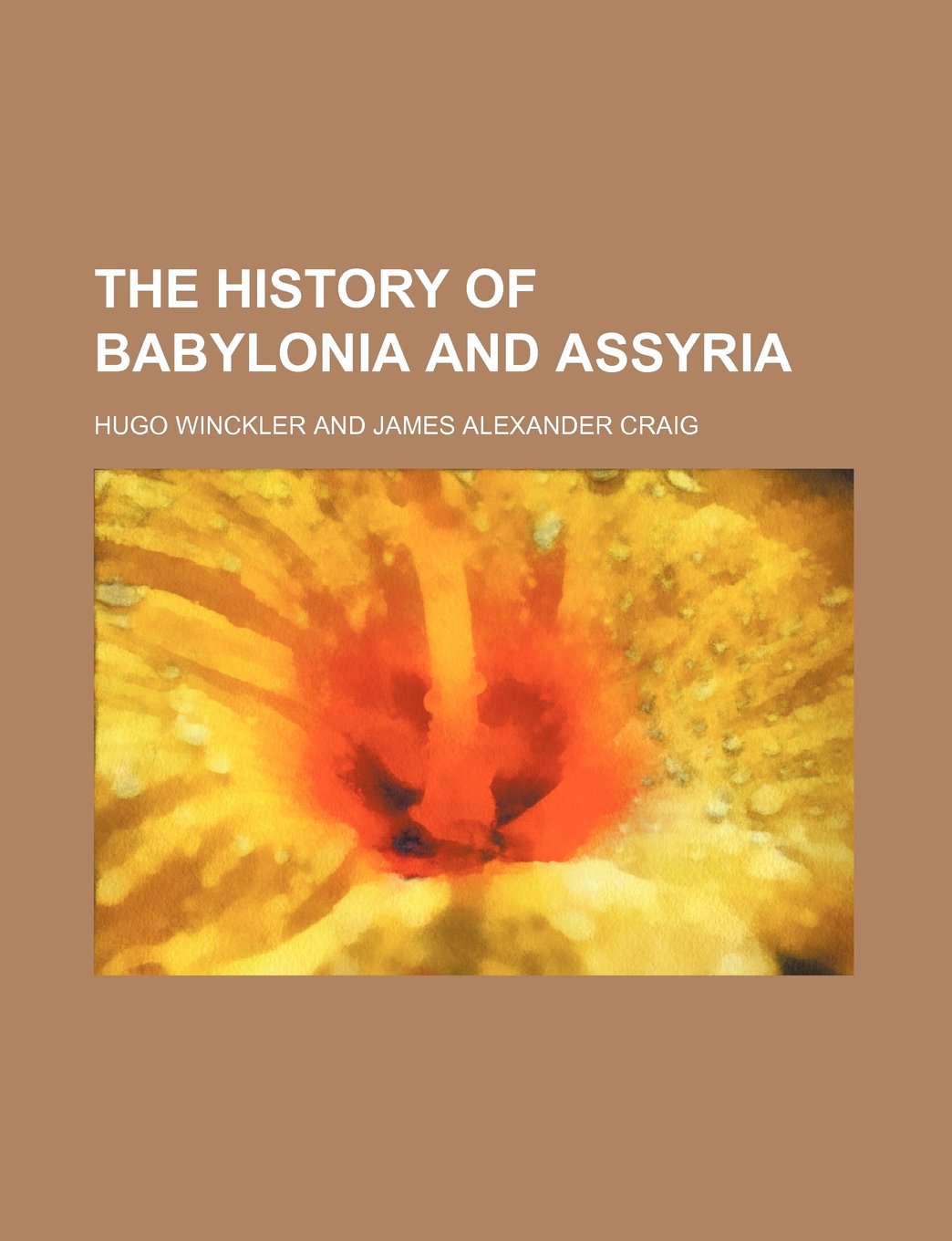 The History of Babylonia and Assyria Politics & History