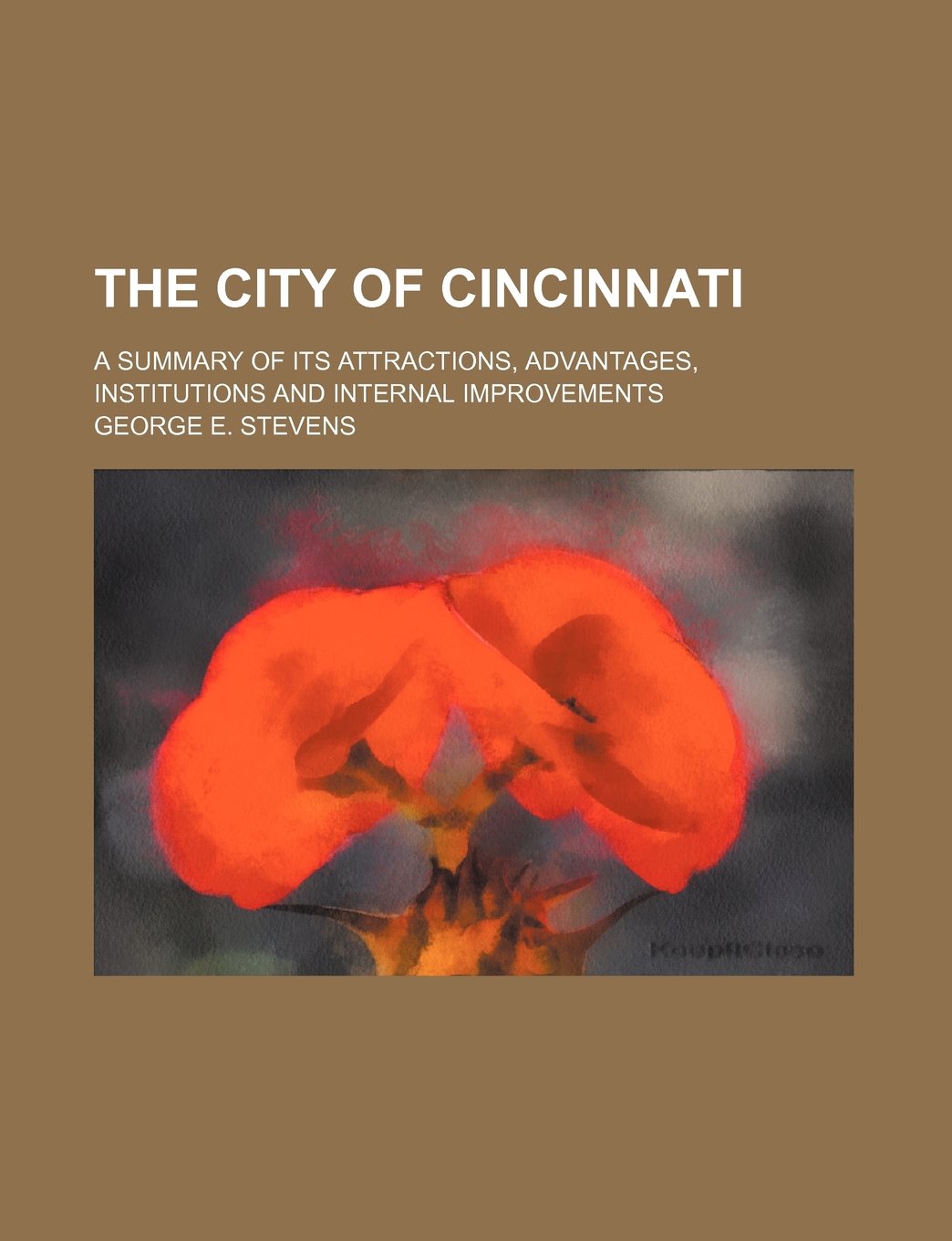 The City of Cincinnati; A Summary of Its Attractions, Advantages, Institutions and Internal Improvements Books