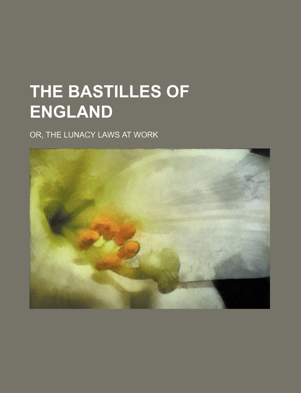 The Bastilles of England; Or, the Lunacy Laws at Work book