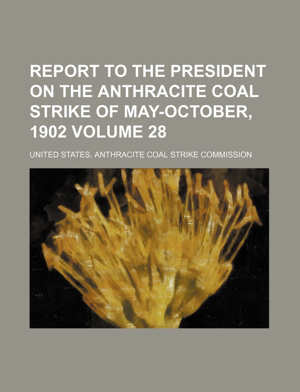 Report to the President on the Anthracite Coal Strike of May-October, 1902 Volume 28 Books