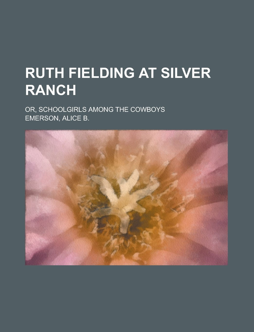 Ruth Fielding at Silver Ranch; Or, Schoolgirls Among the Cowboys Books