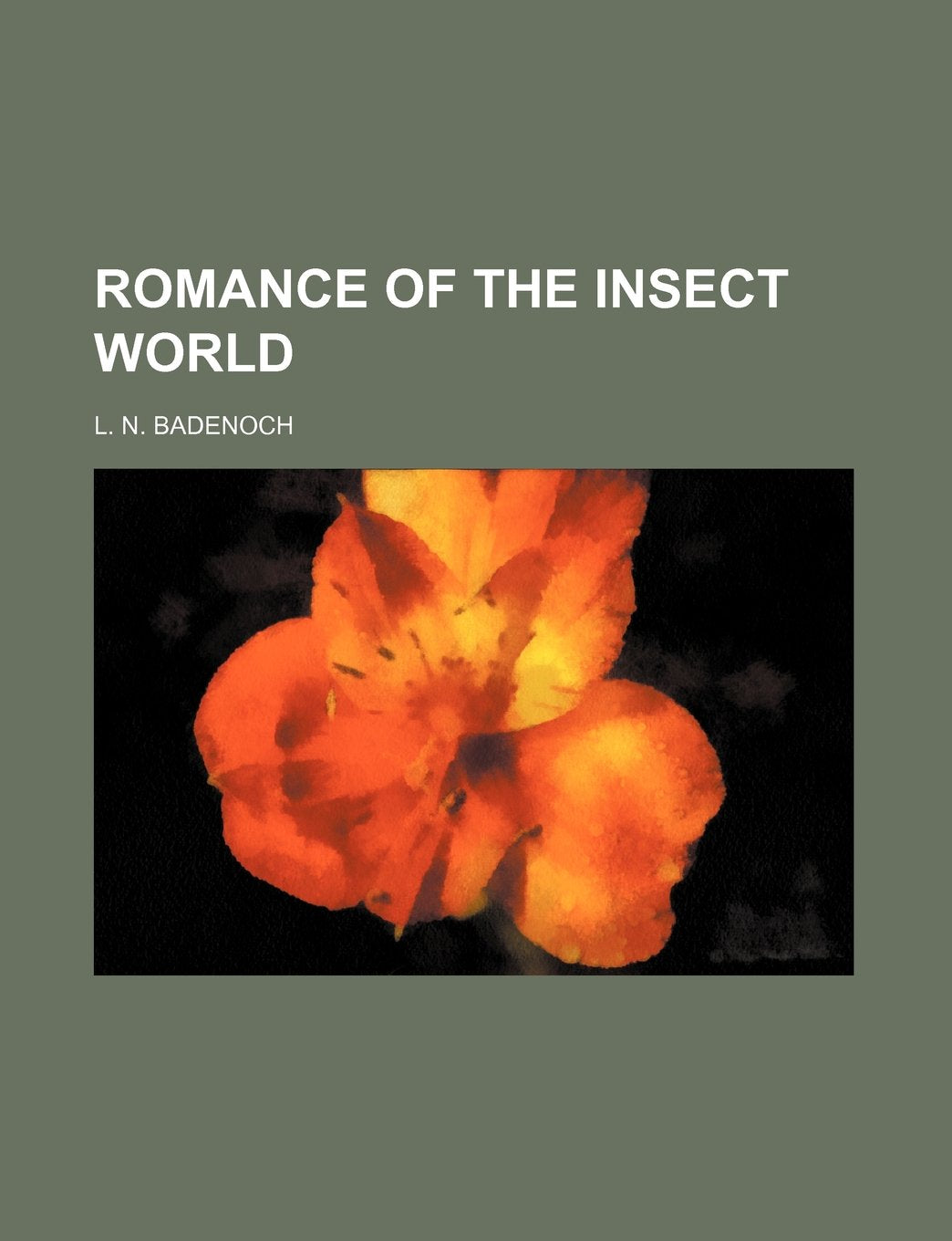 Romance of the Insect World Mathematics