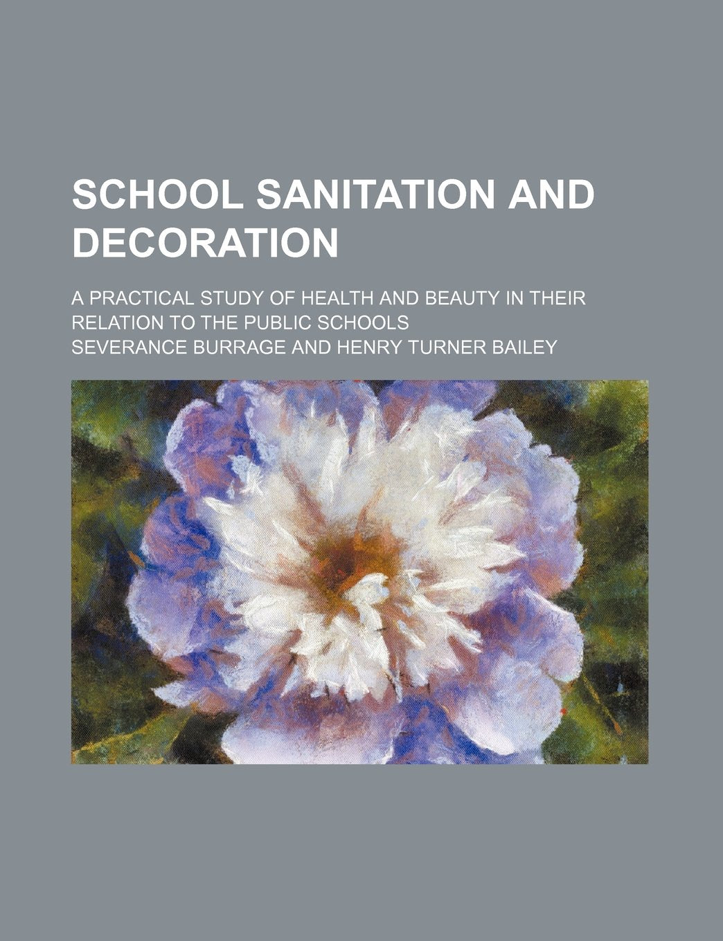 School Sanitation and Decoration; A Practical Study of Health and Beauty in Their Relation to the Public Schools Books