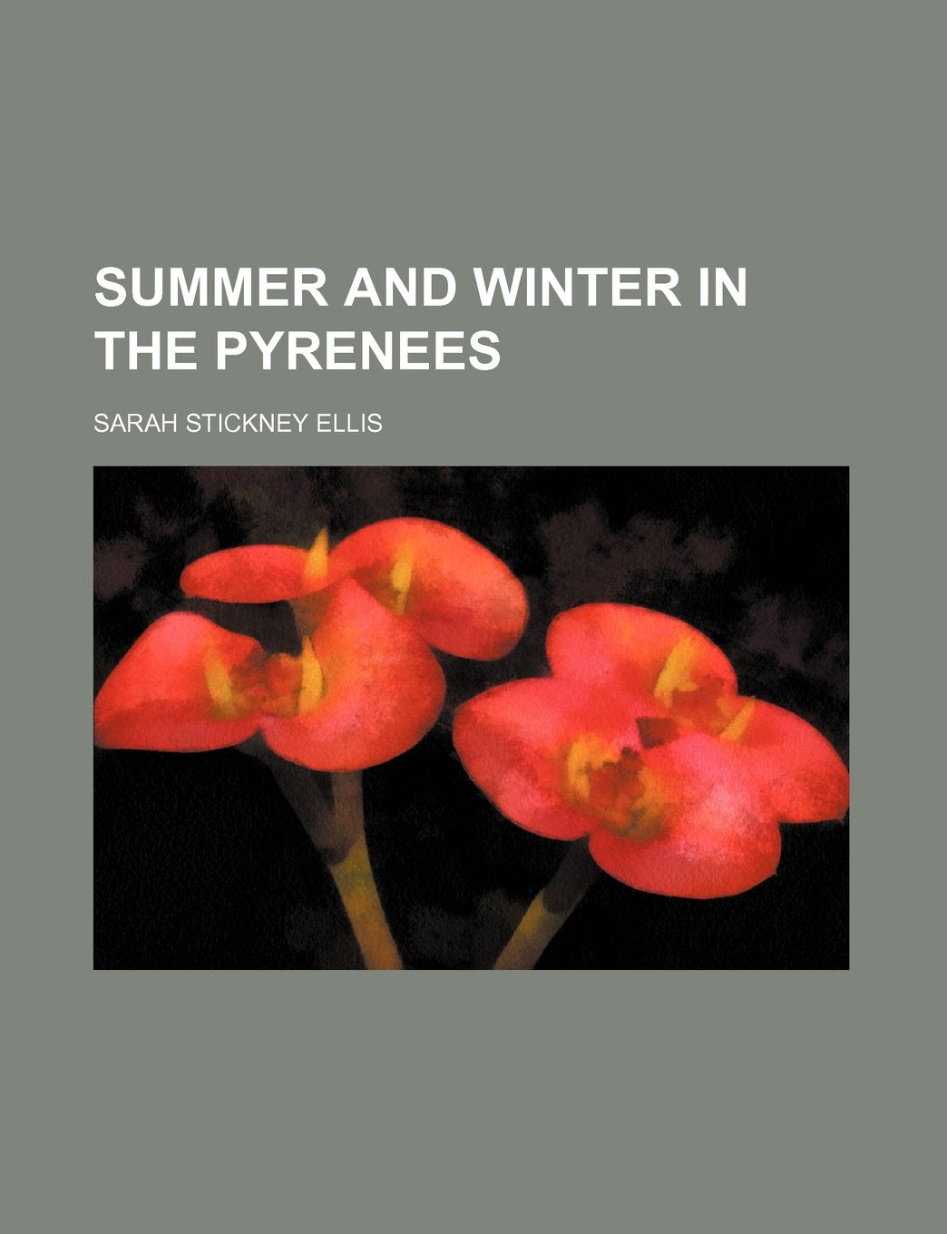 Summer and Winter in the Pyrenees book