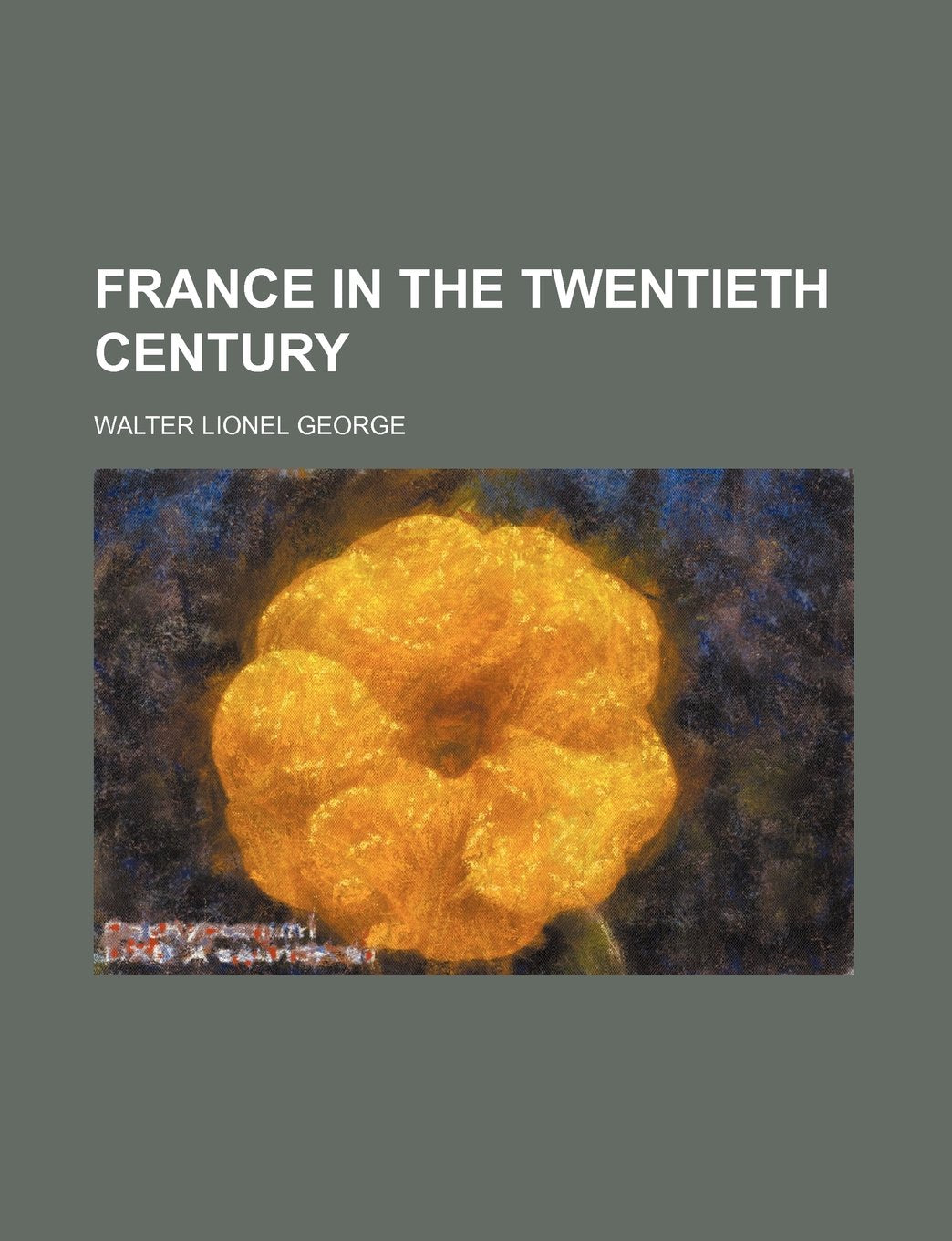 France in the Twentieth Century Politics & History