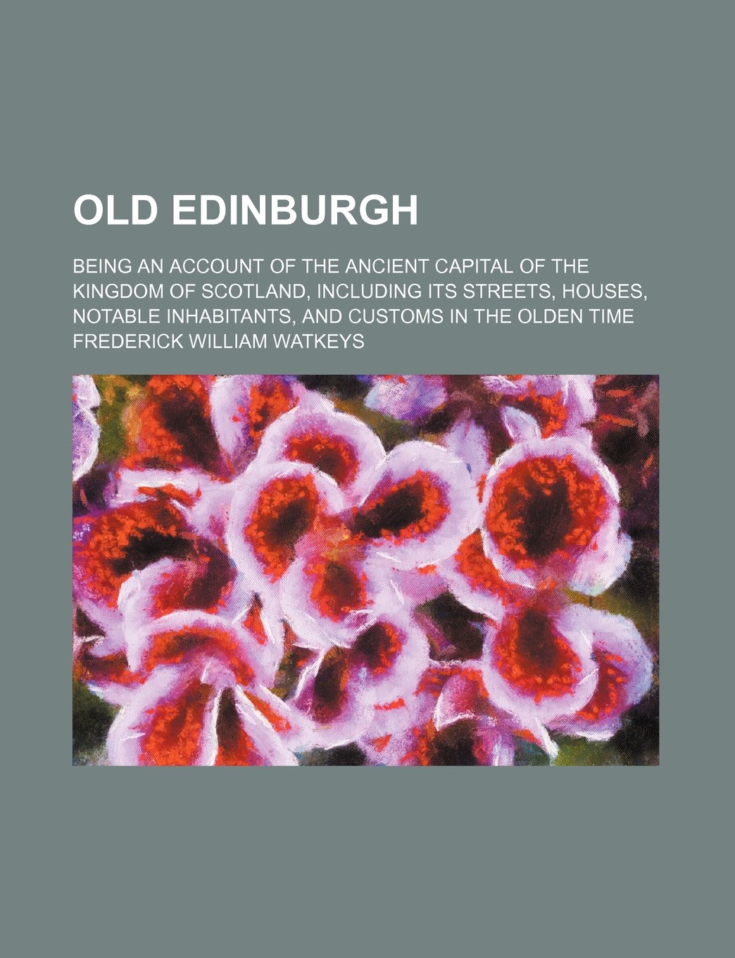 Old Edinburgh (Volume 2); Being an Account of the Ancient Capital of the Kingdom of Scotland, Including Its Streets, Houses, Notable Inhabitants, and Customs in the Olden Time Books