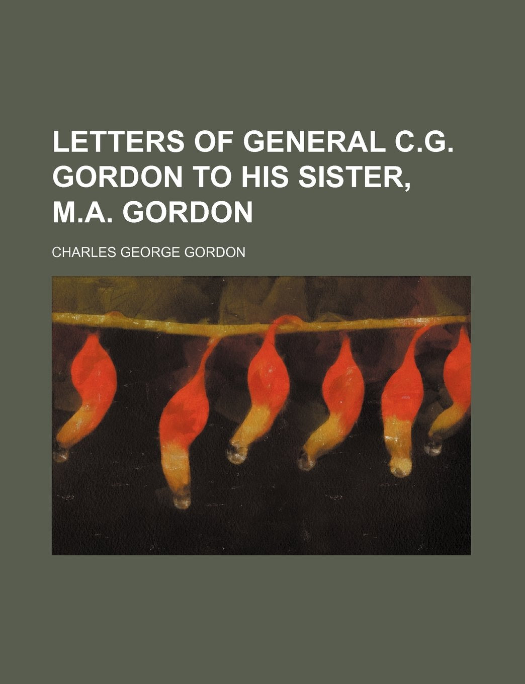 Letters of General C.G. Gordon to His Sister, M.A. Gordon Books