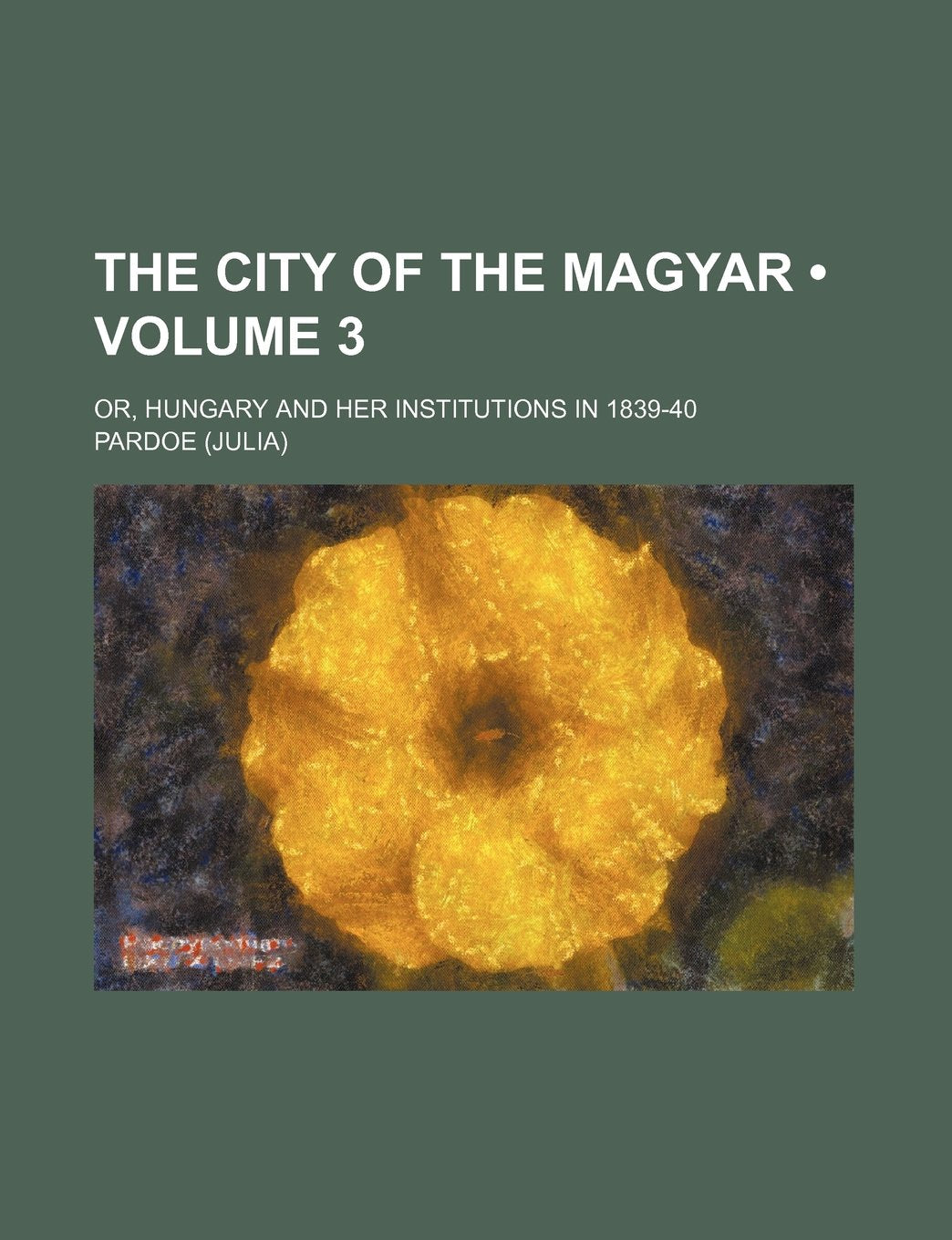 The City of the Magyar (Volume 3); Or, Hungary and Her Institutions in 1839-40 Books