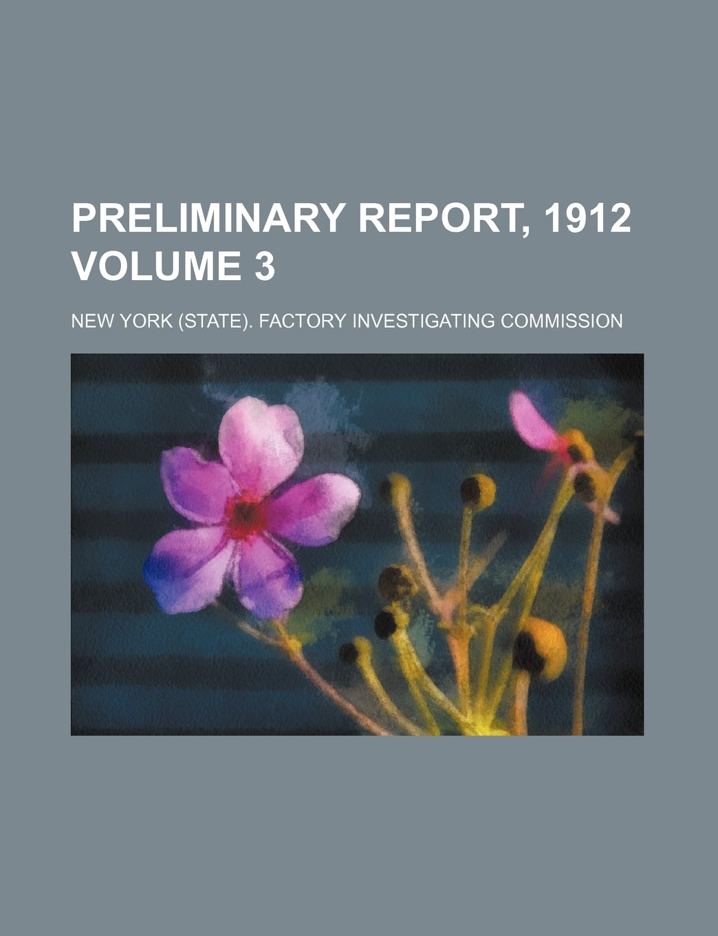 Preliminary Report, 1912 Volume 3 Books