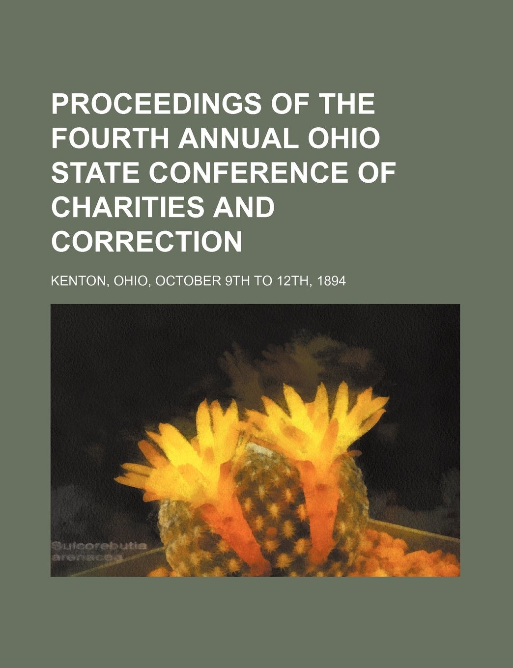 Proceedings of the Fourth Annual Ohio State Conference of Charities and Correction; Kenton, Ohio, October 9th to 12th, 1894 Books