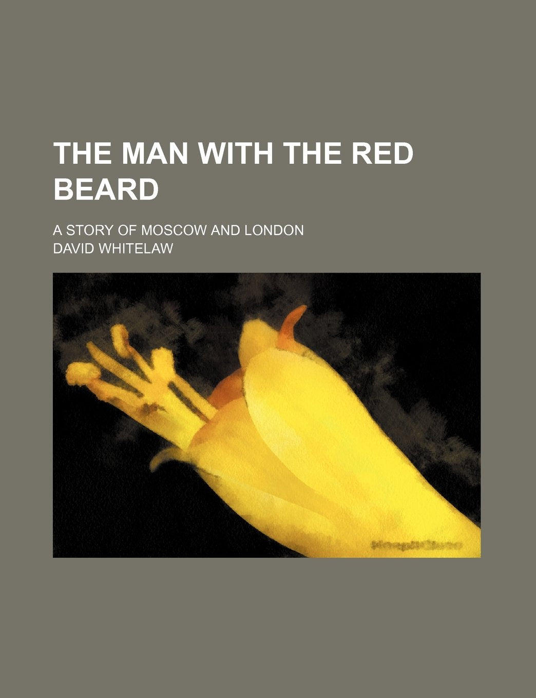 The Man with the Red Beard; A Story of Moscow and London Books