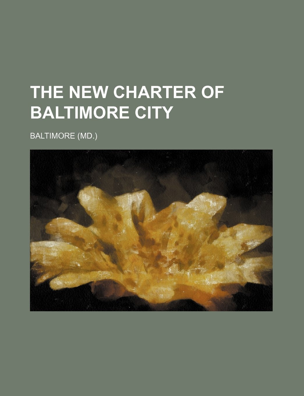 The New Charter of Baltimore City Books