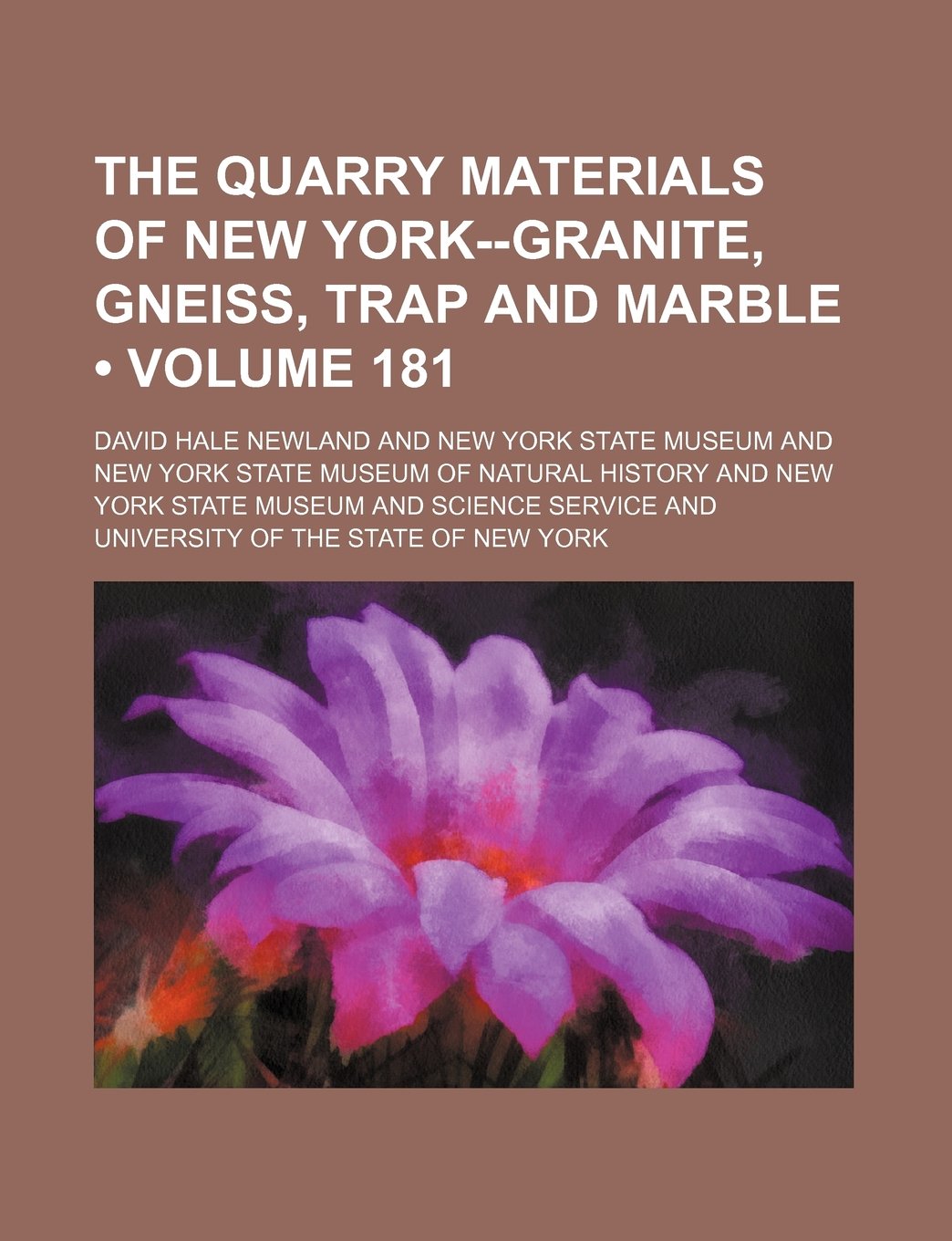 The Quarry Materials of New York--Granite, Gneiss, Trap and Marble (Volume 181) Books