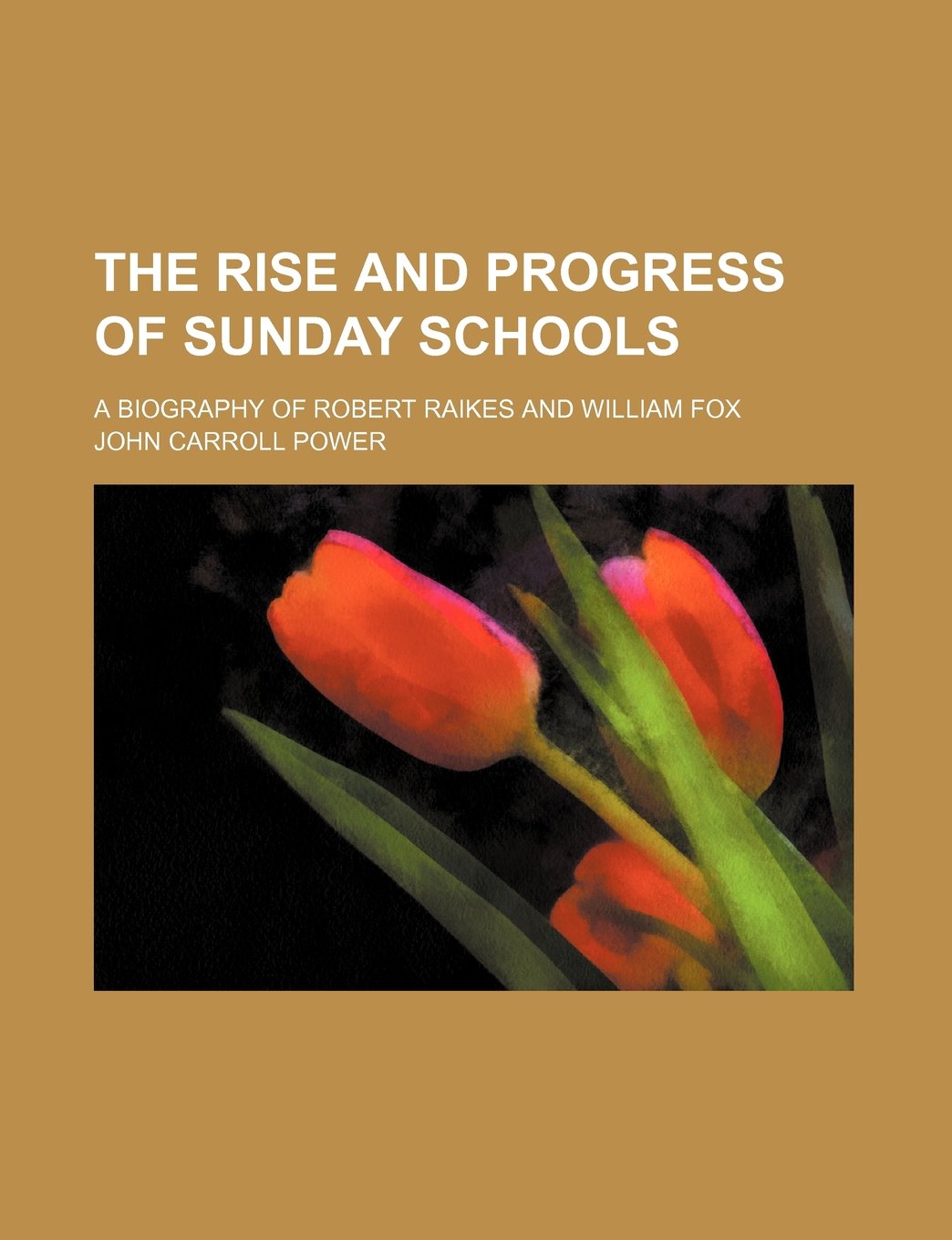 The Rise and Progress of Sunday Schools; A Biography of Robert Raikes and William Fox Politics & History