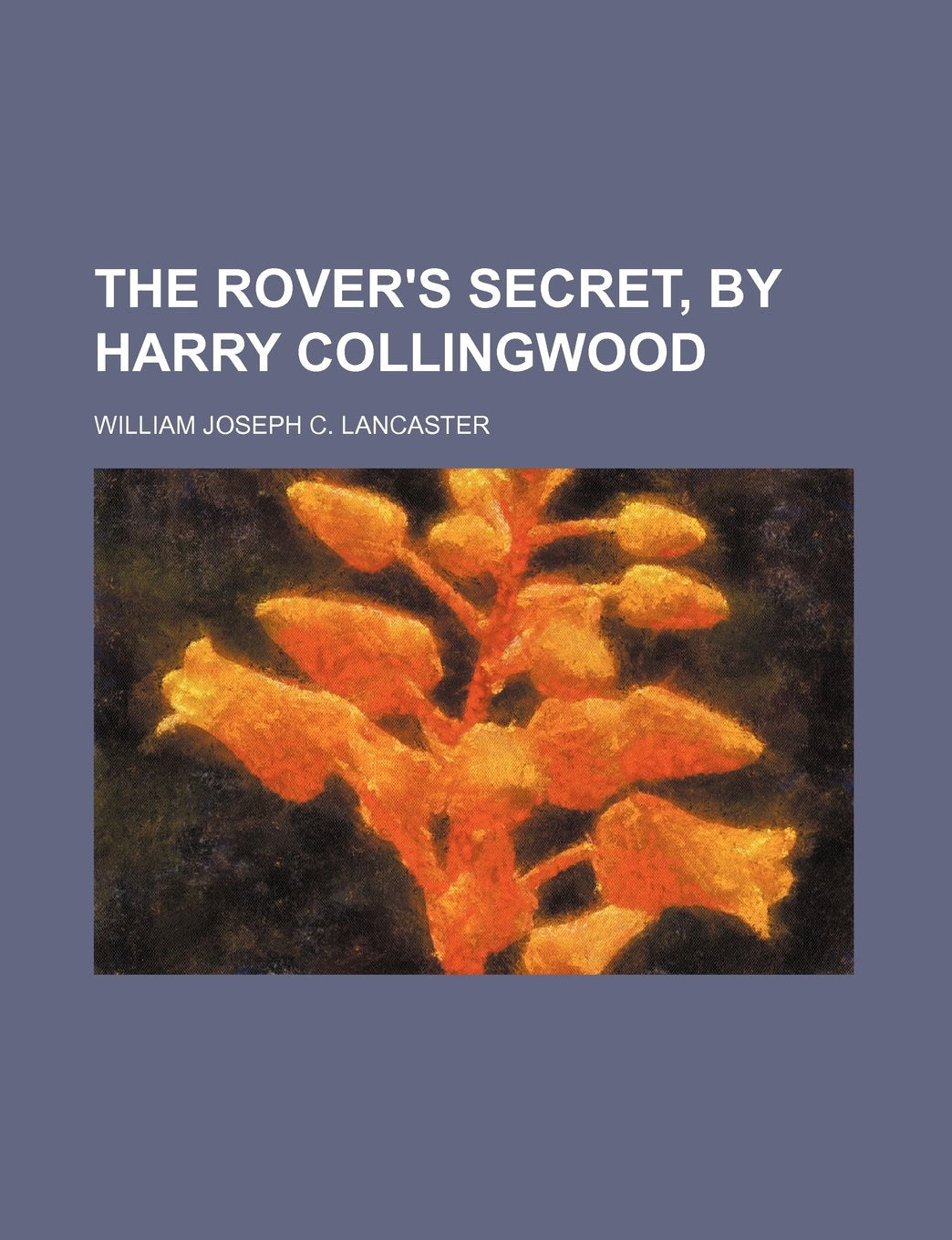 The Rover's Secret, by Harry Collingwood Books