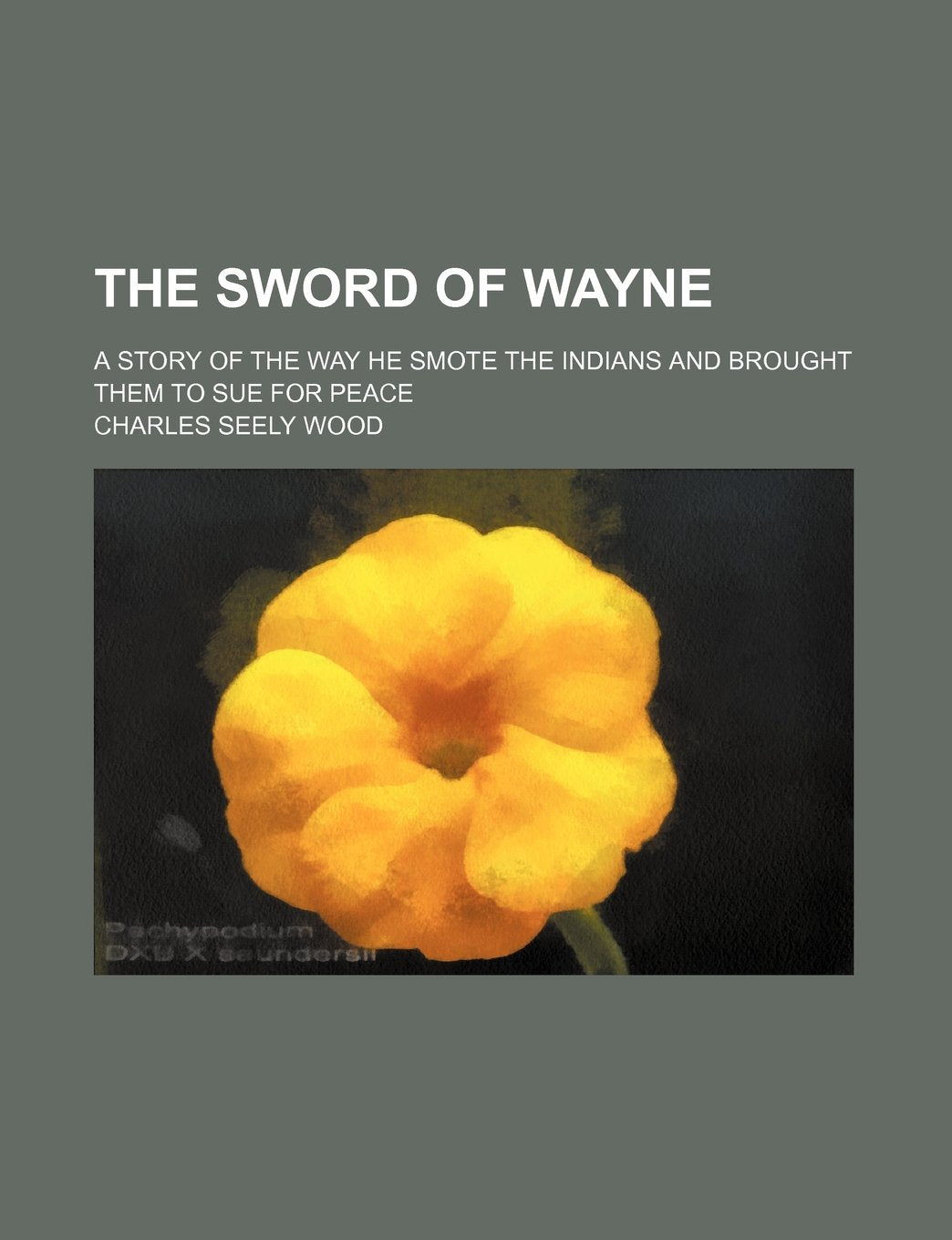 The Sword of Wayne; A Story of the Way He Smote the Indians and Brought Them to Sue for Peace Books